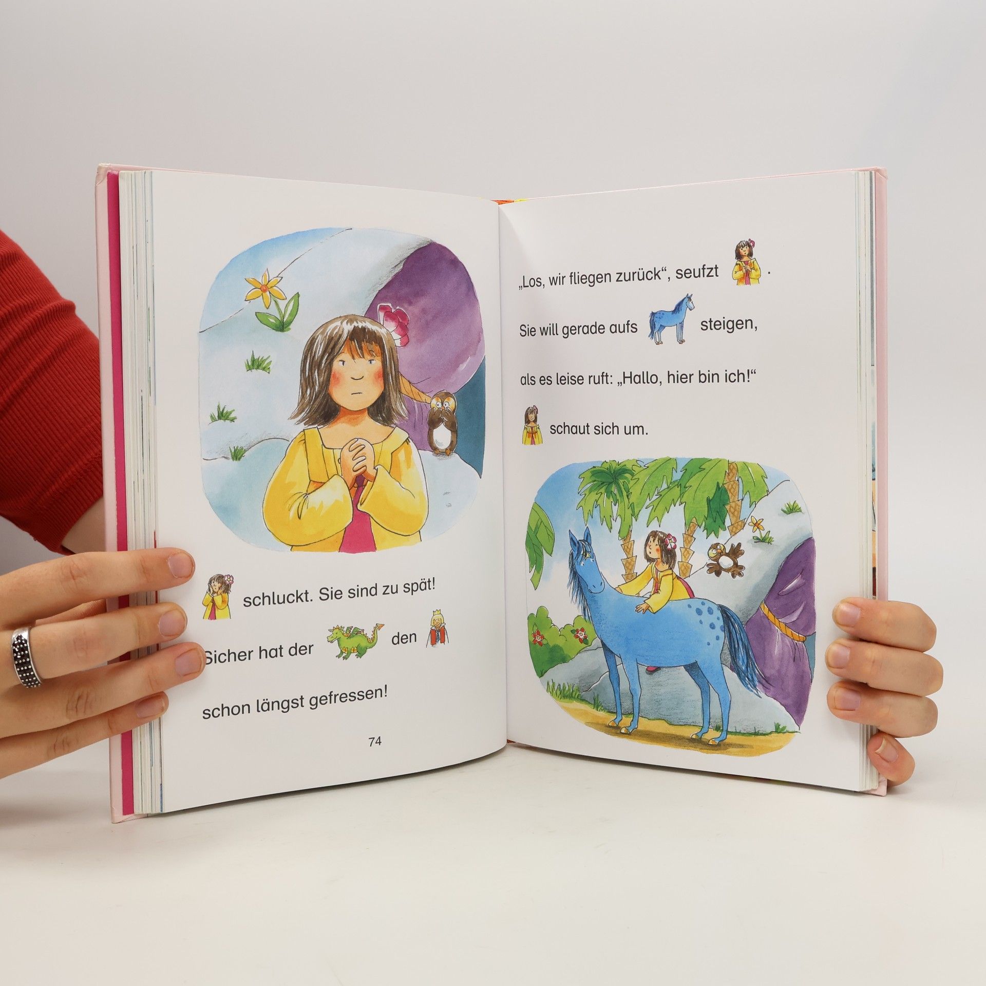 Julia Boehme Die schönsten Erstlesegeschichten mit der kleinen Prinzessin und dem blauen Pferd