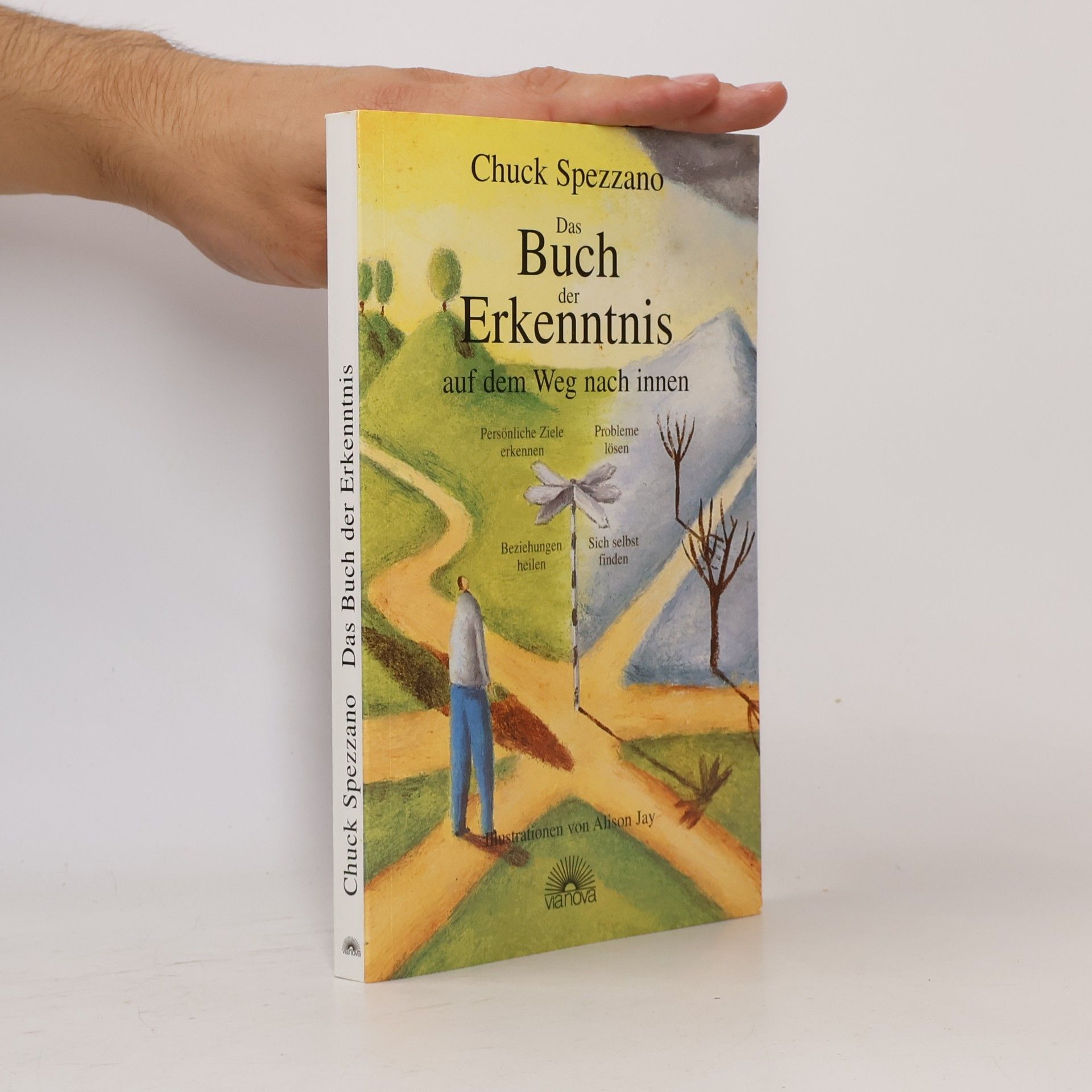 Chuck Spezzano Karten der Erkenntnis auf dem Weg nach innen