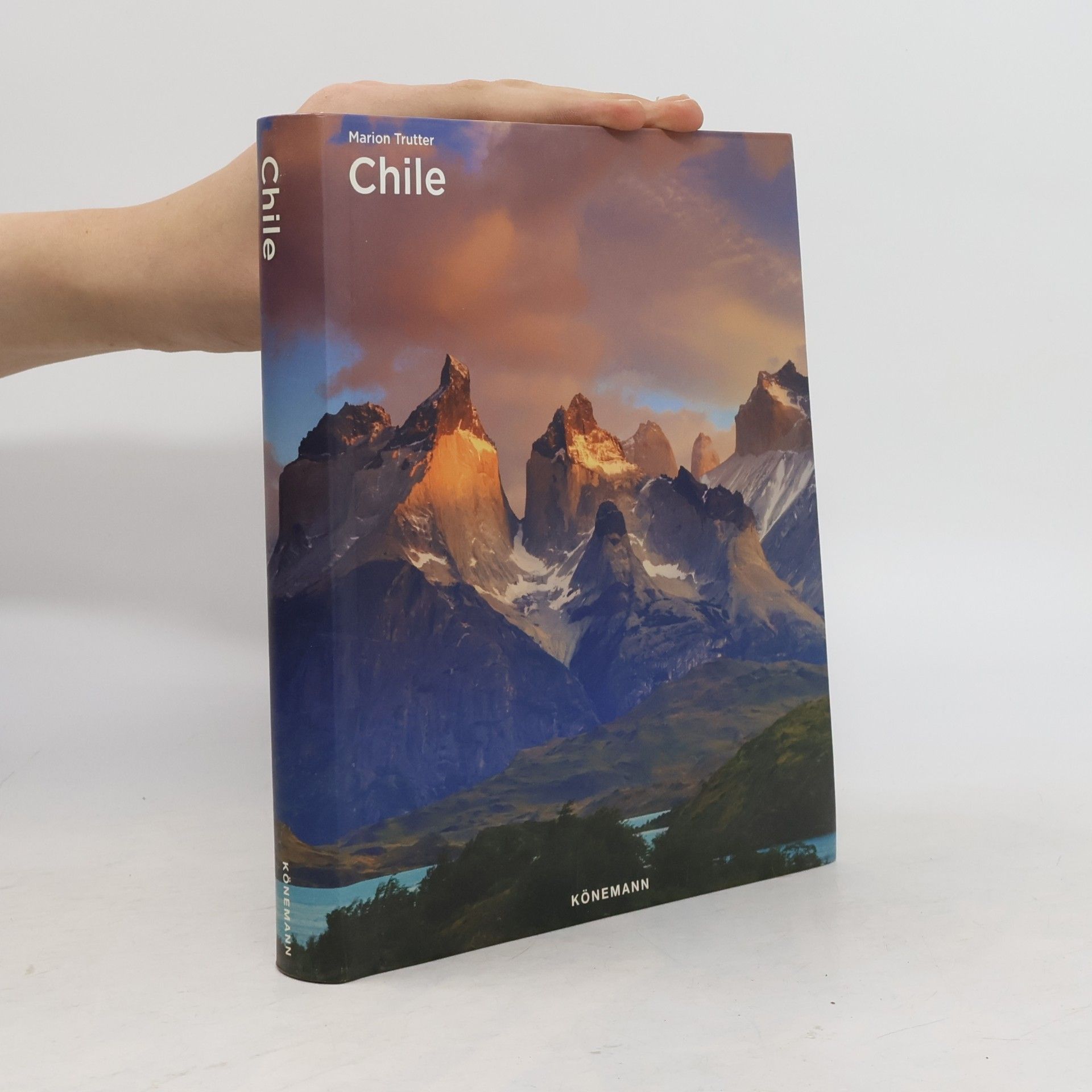 Jennifer Wintgens Chile