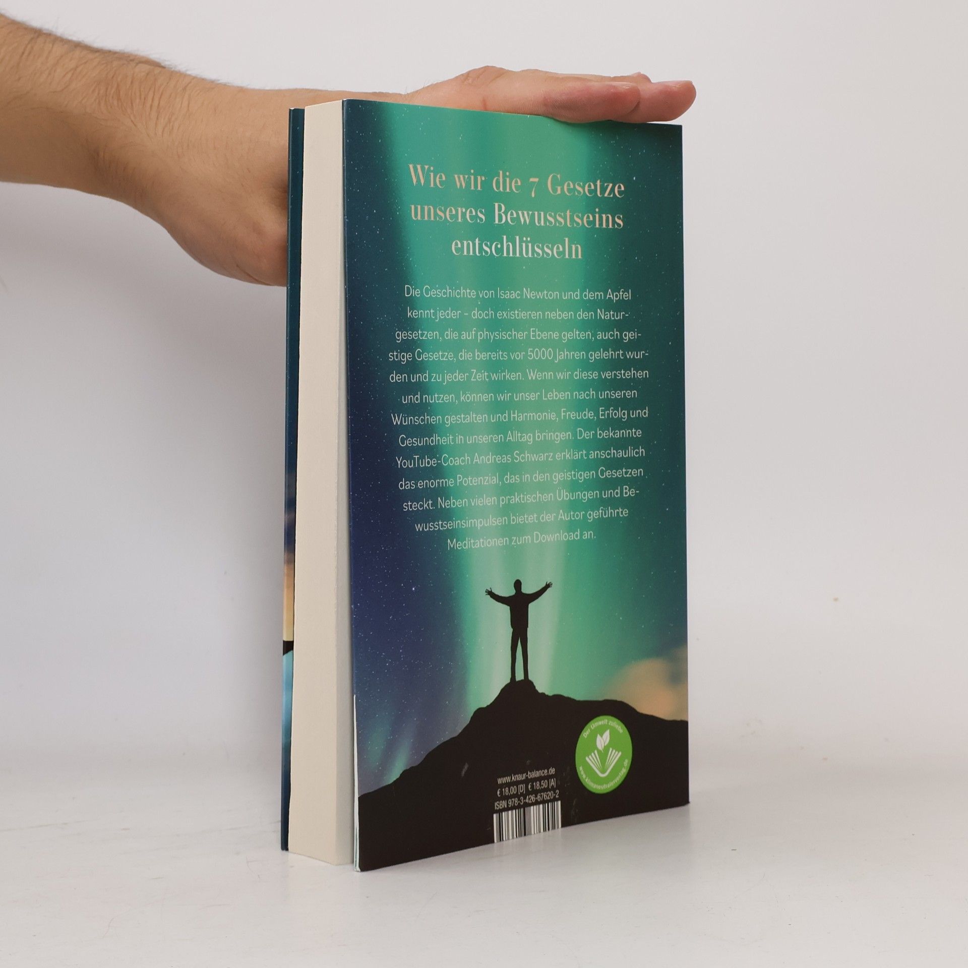 Andreas Schwarz Higher Mind. Die Gesetze des Bewusstseins
