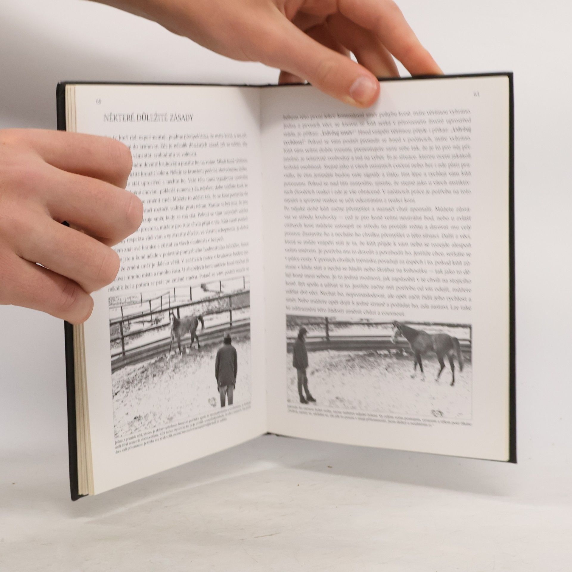 Václav Bořánek Horsemanship - přirozené jezdectví