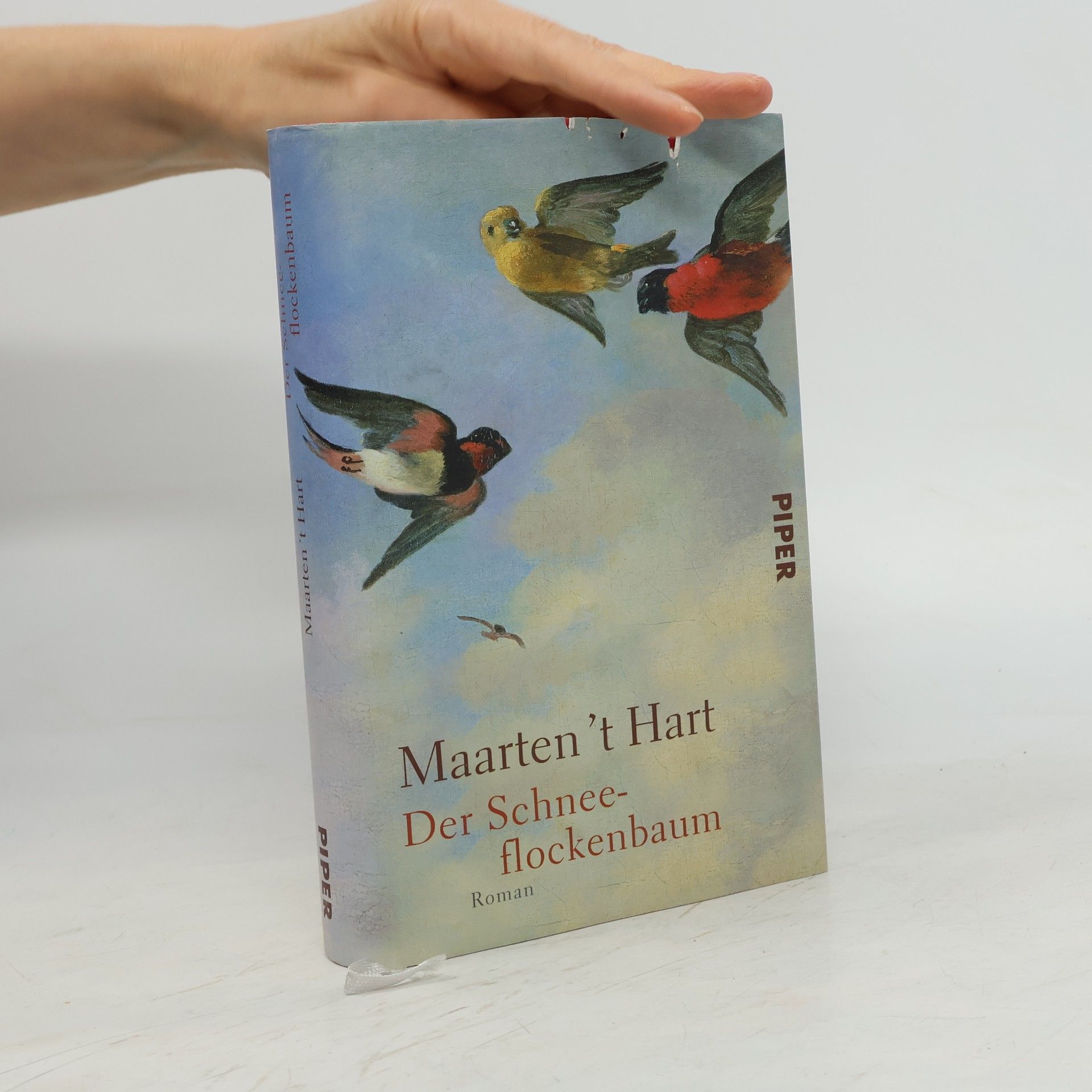 Maarten 't Hart Der Schneeflockenbaum