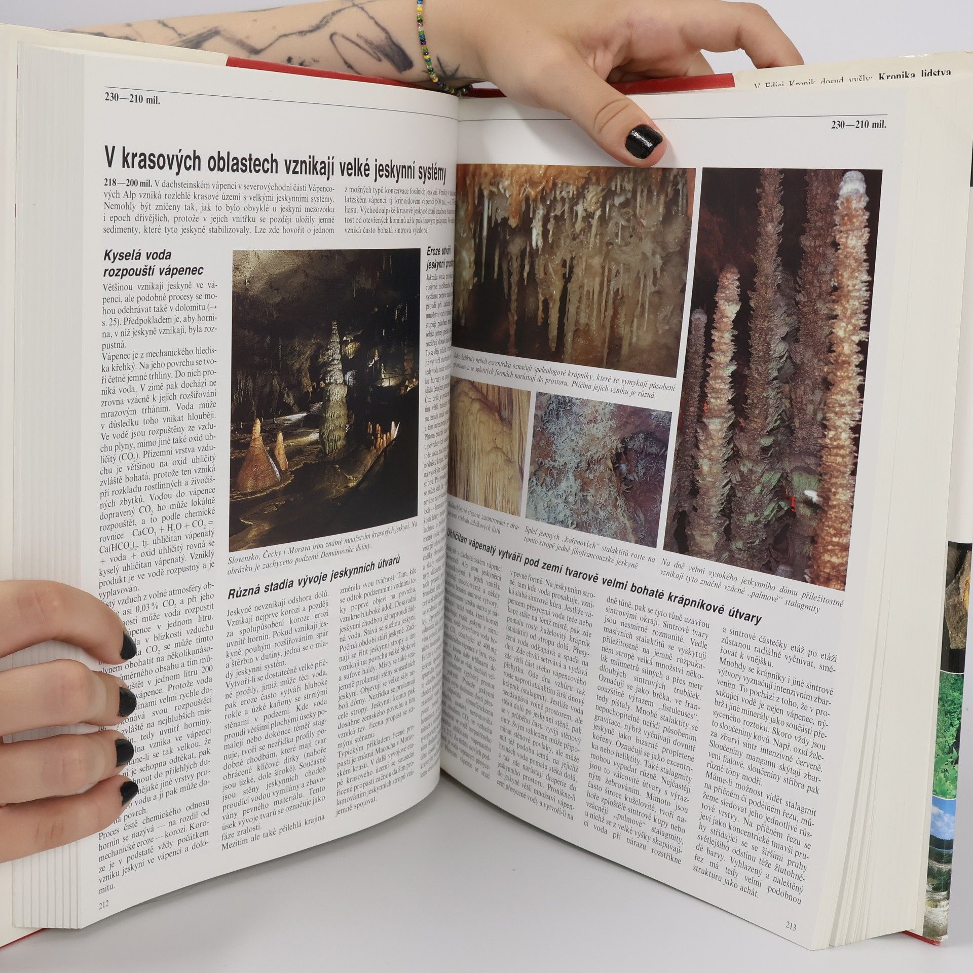 Autorenkollektiv Kronika Země