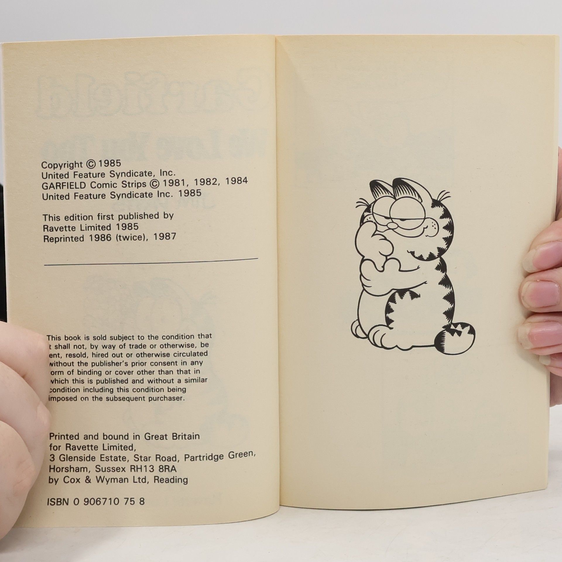 Autorenkollektiv Garfield-We Love You Too (Garfield Pocket Books)