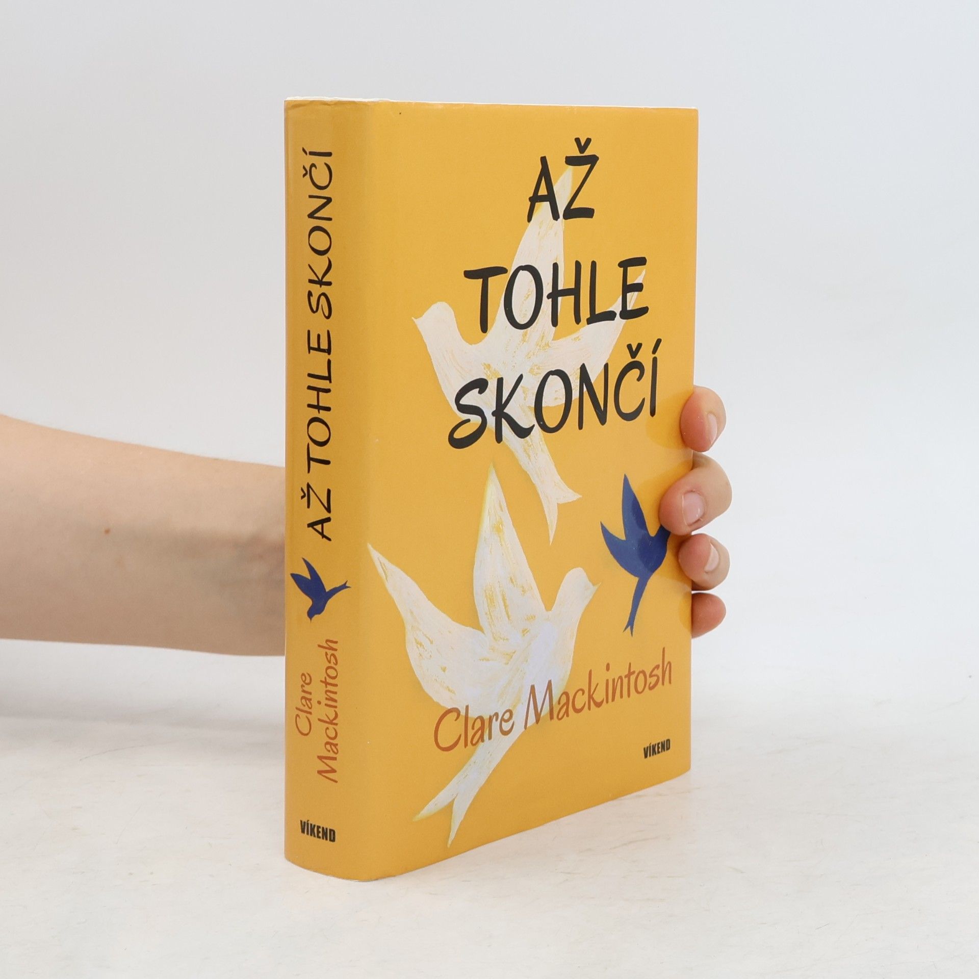 Clare Mackintosh Až tohle skončí