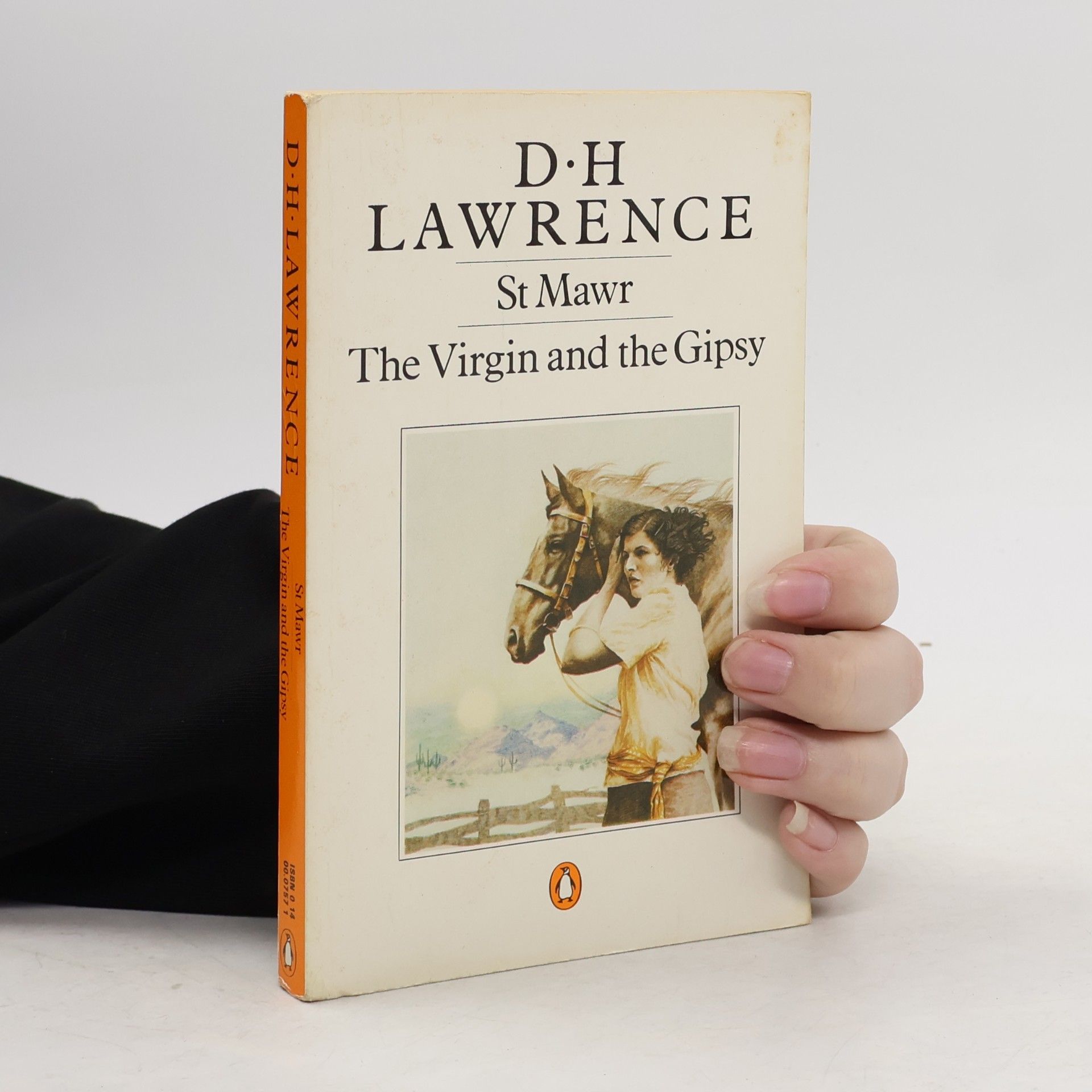 D. H. Lawrence St. Mawr. The Virgin and the Gypsy