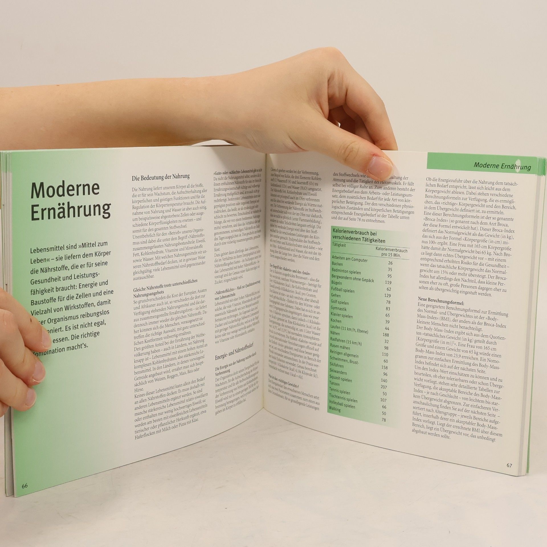 Waltraute Aign Die Grosse GU Nährwert-Kalorien-Tabelle mit CD-Rom 2004/05