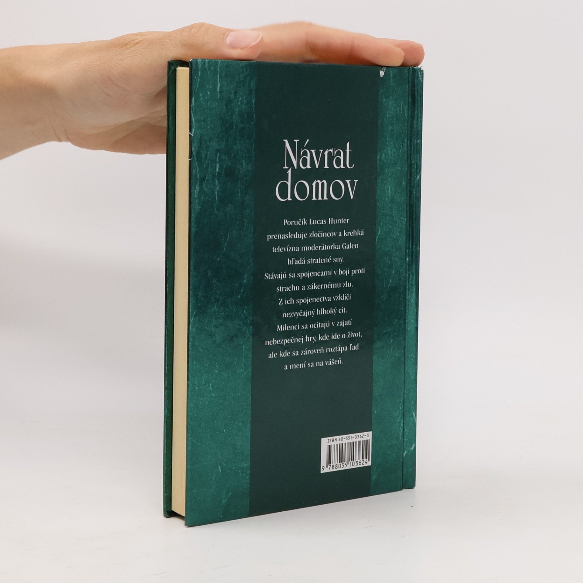 Katherine Stone Návrat domov