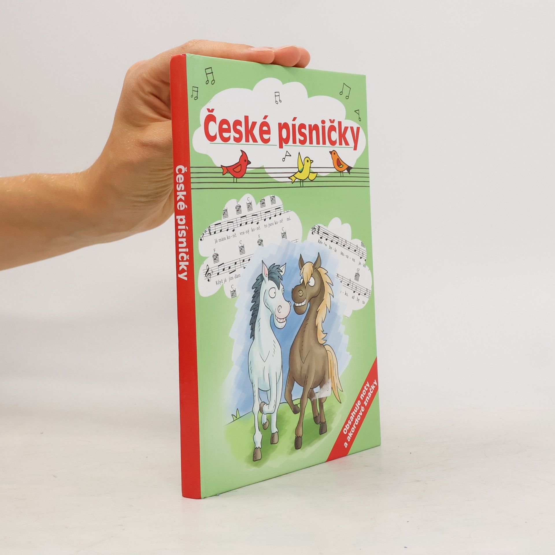 Dita Křišťanová České písničky