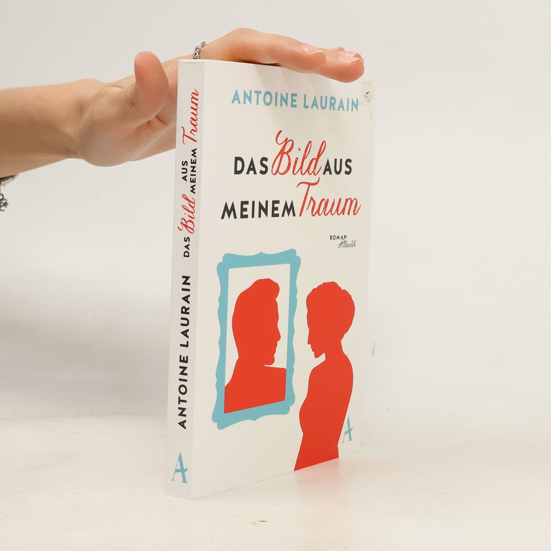 Antoine Laurain Das Bild aus meinem Traum