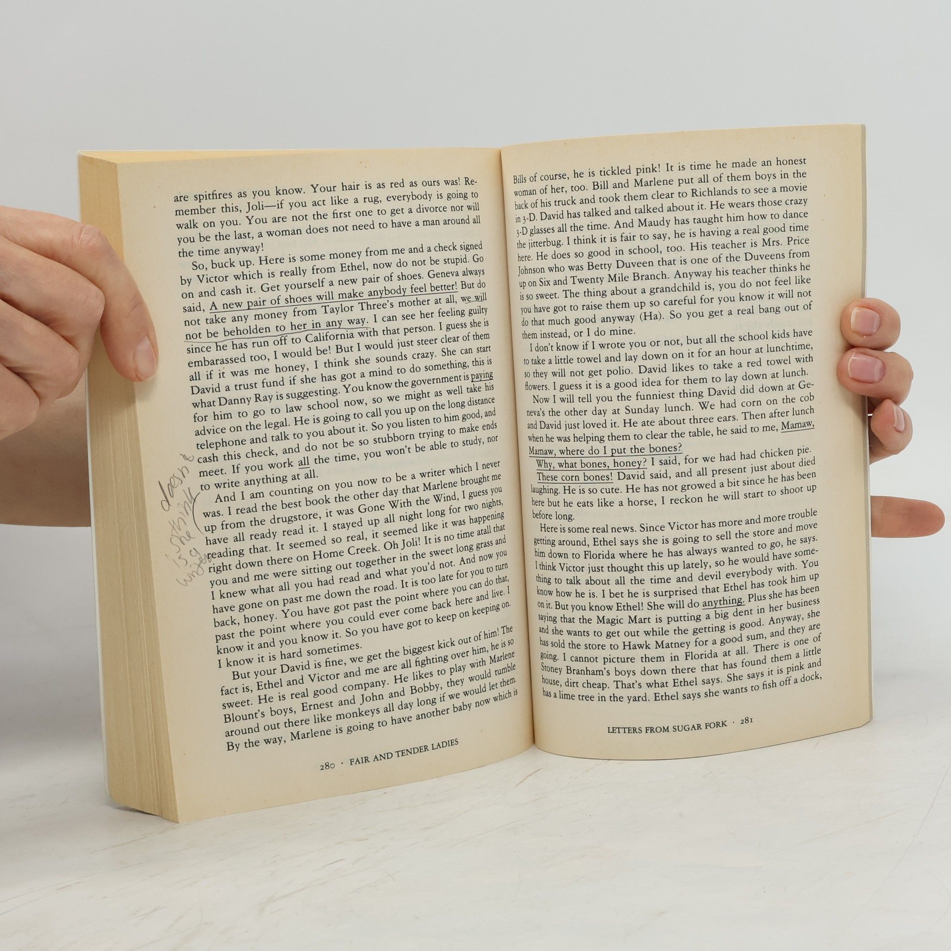 Lee Smith Ballantine Reader's Circle: Fair and Tender Ladies