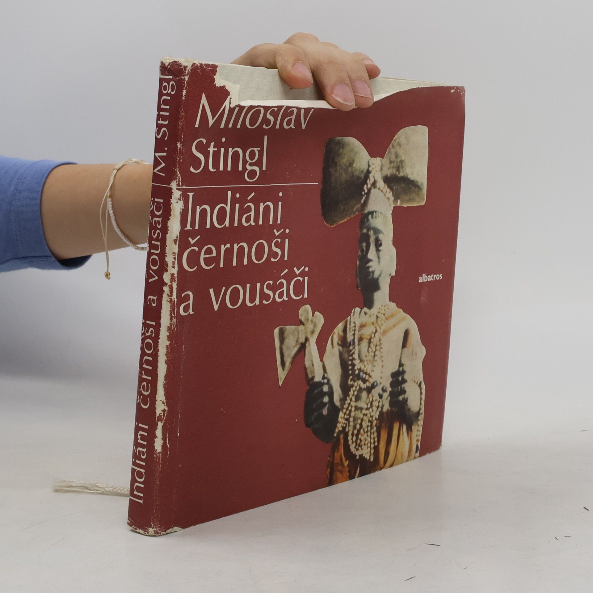 Miloslav Stingl Indiáni, černoši a vousáči