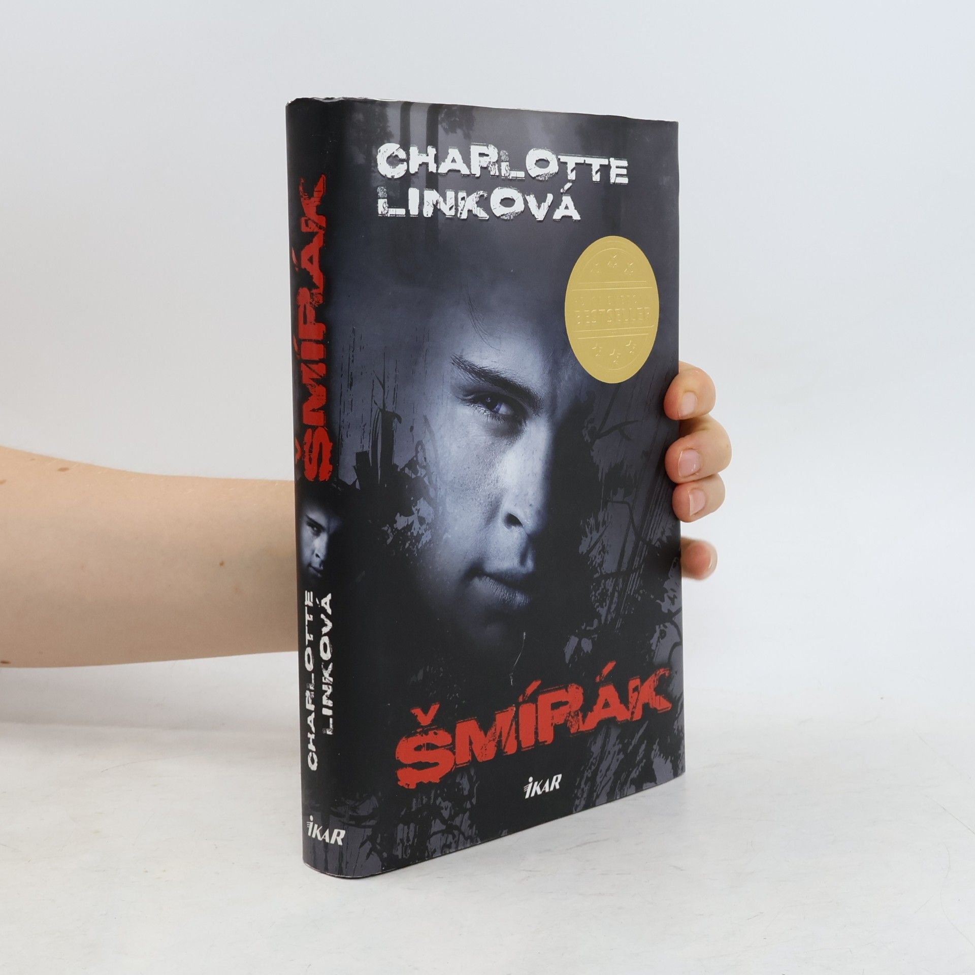 Charlotte Link Šmírák
