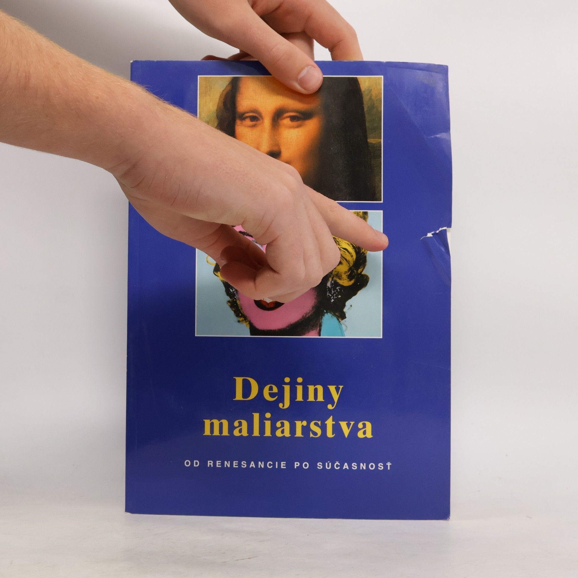 Anna Carola Krausse Dejiny maliarstva od renesancie po súčasnosť