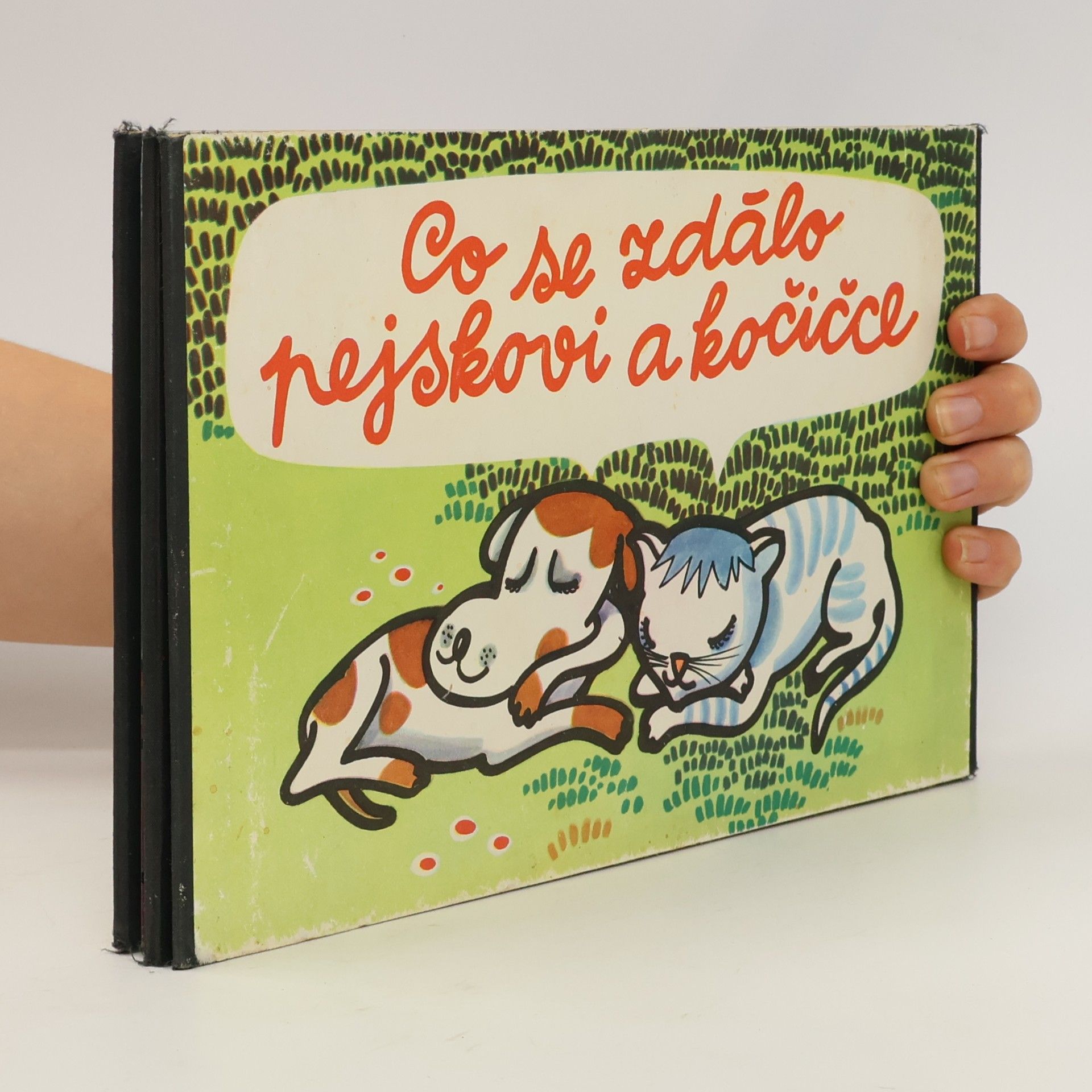 Co se zdálo pejskovi a kočičce