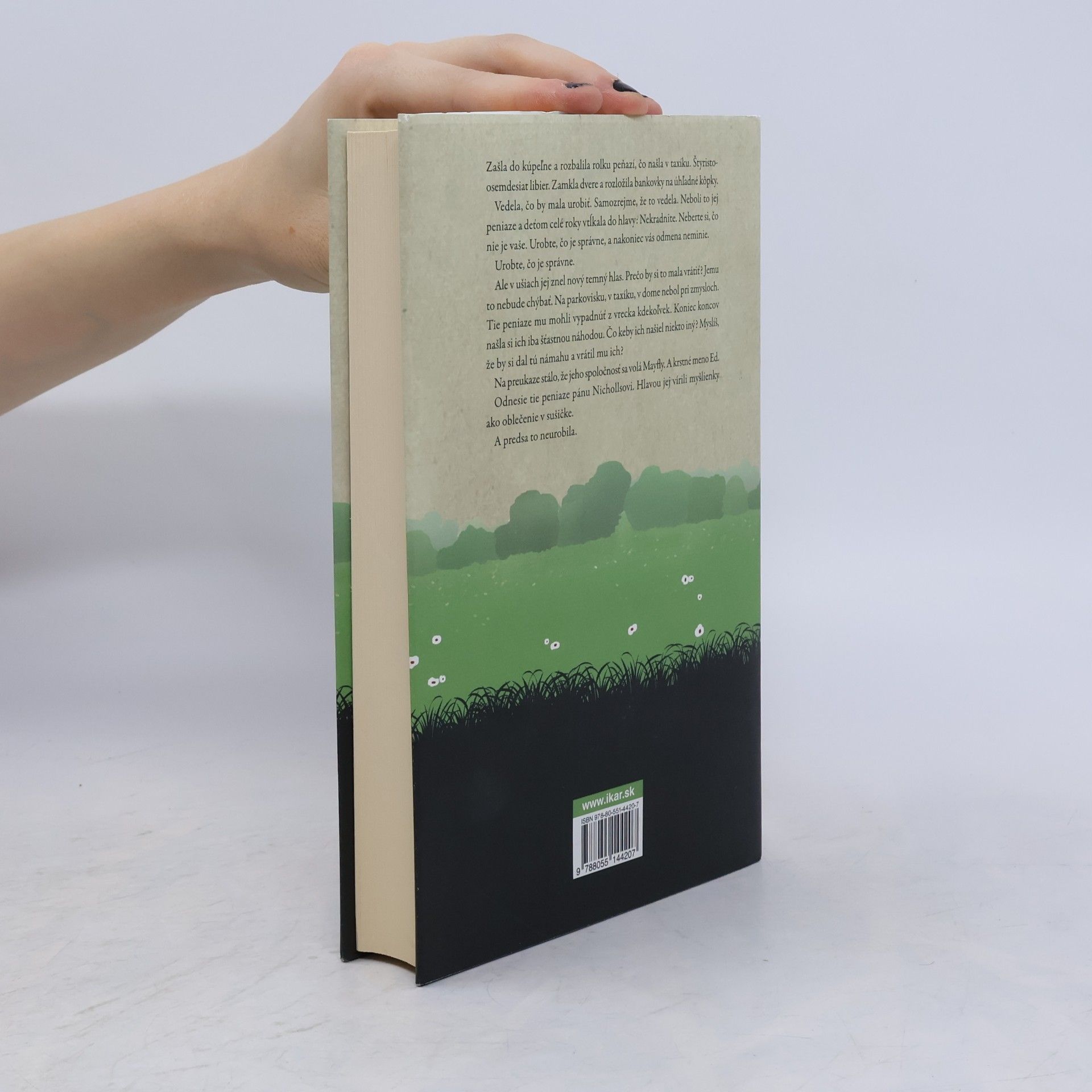Jojo Moyes Jeden plus jeden