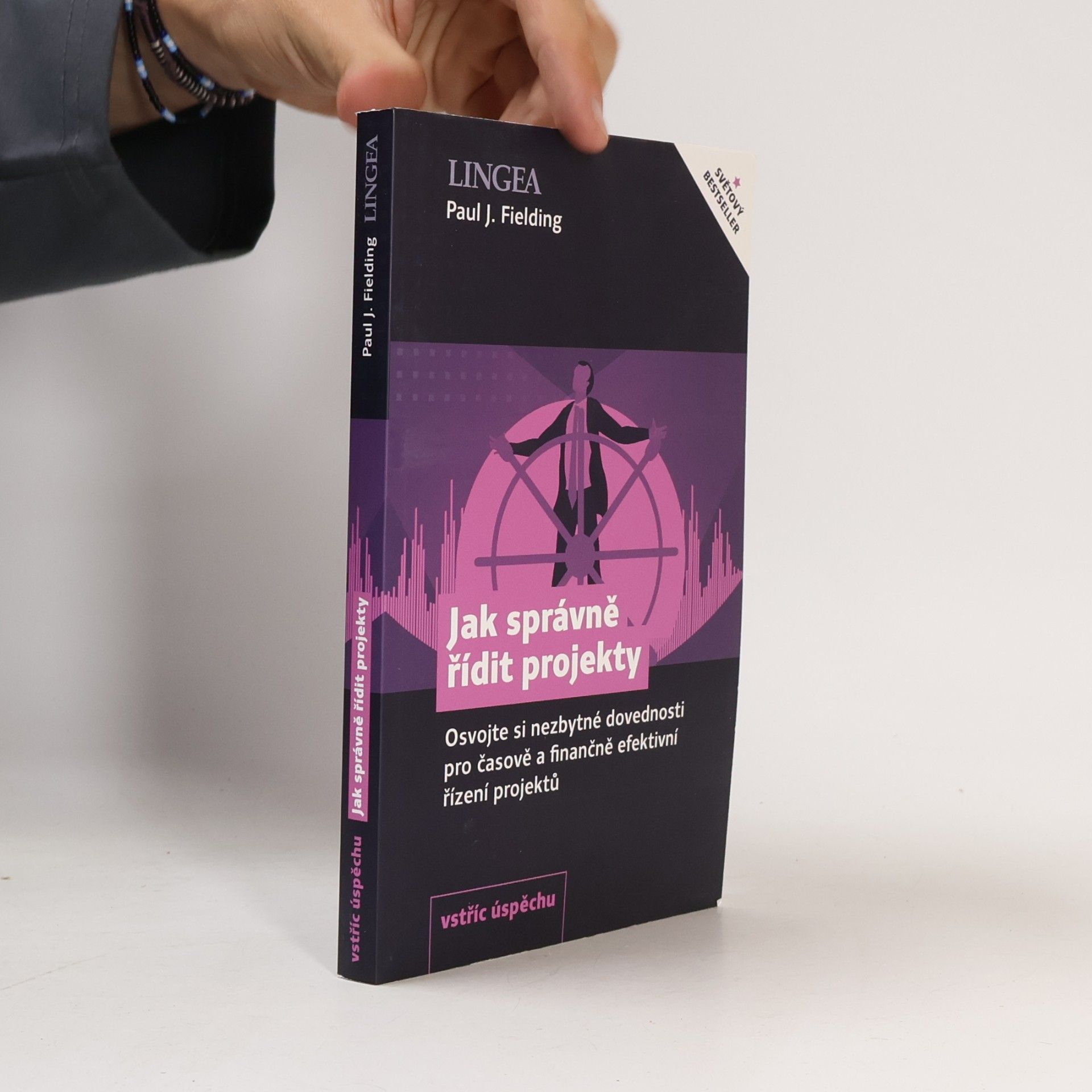 Paul J. Fielding Jak správně řídit projekty