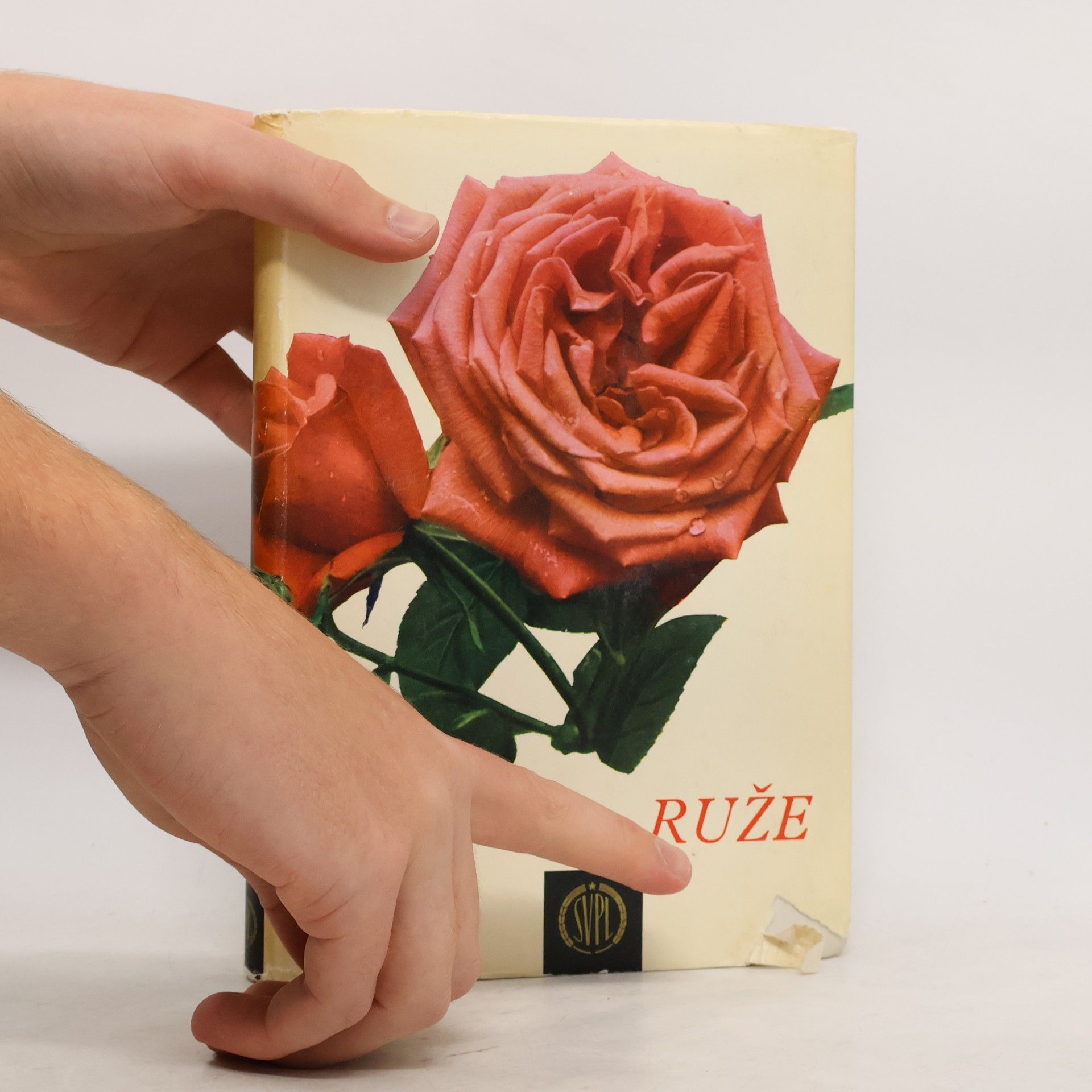 Ludvík Večeřa Ruže