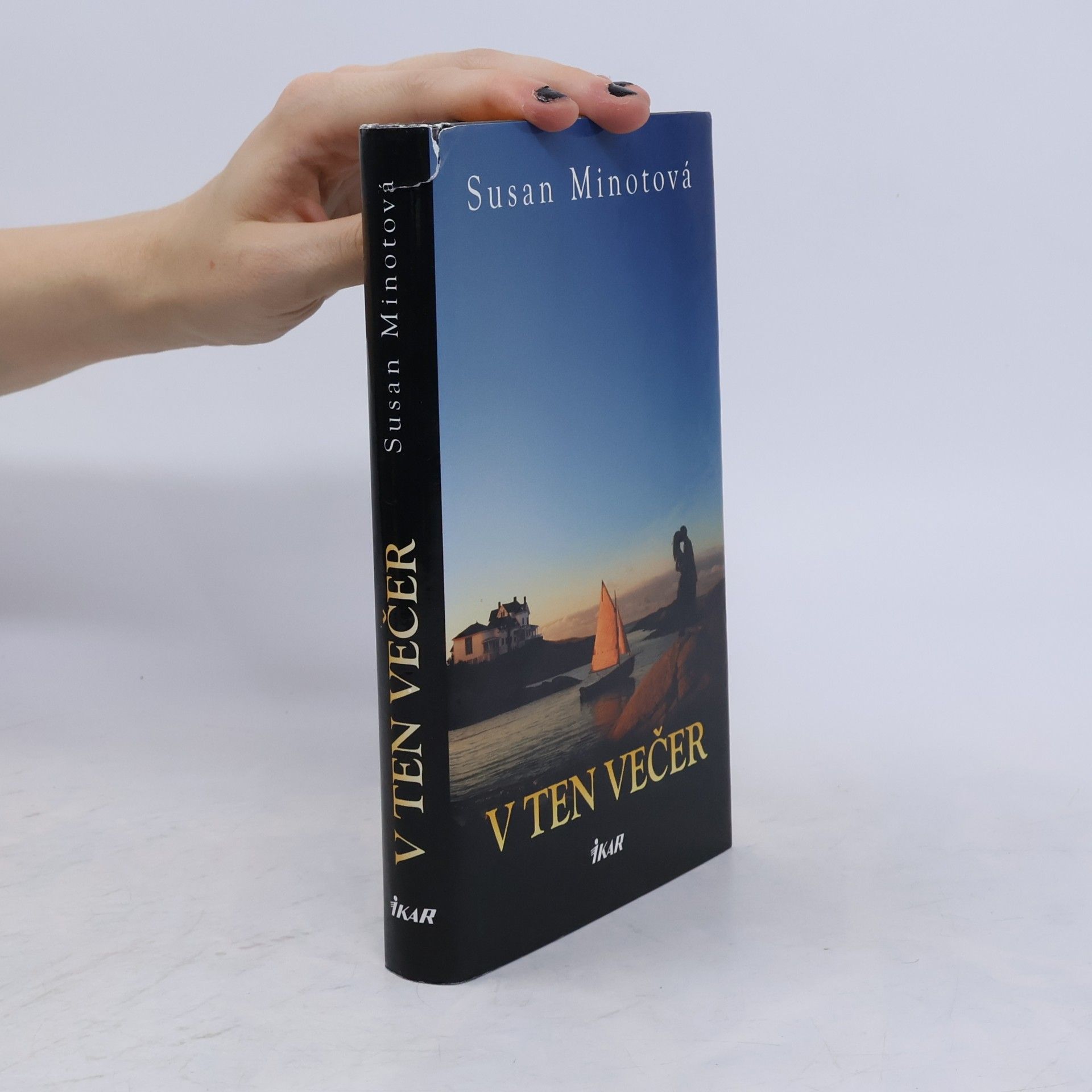 Susan Minot V ten večer