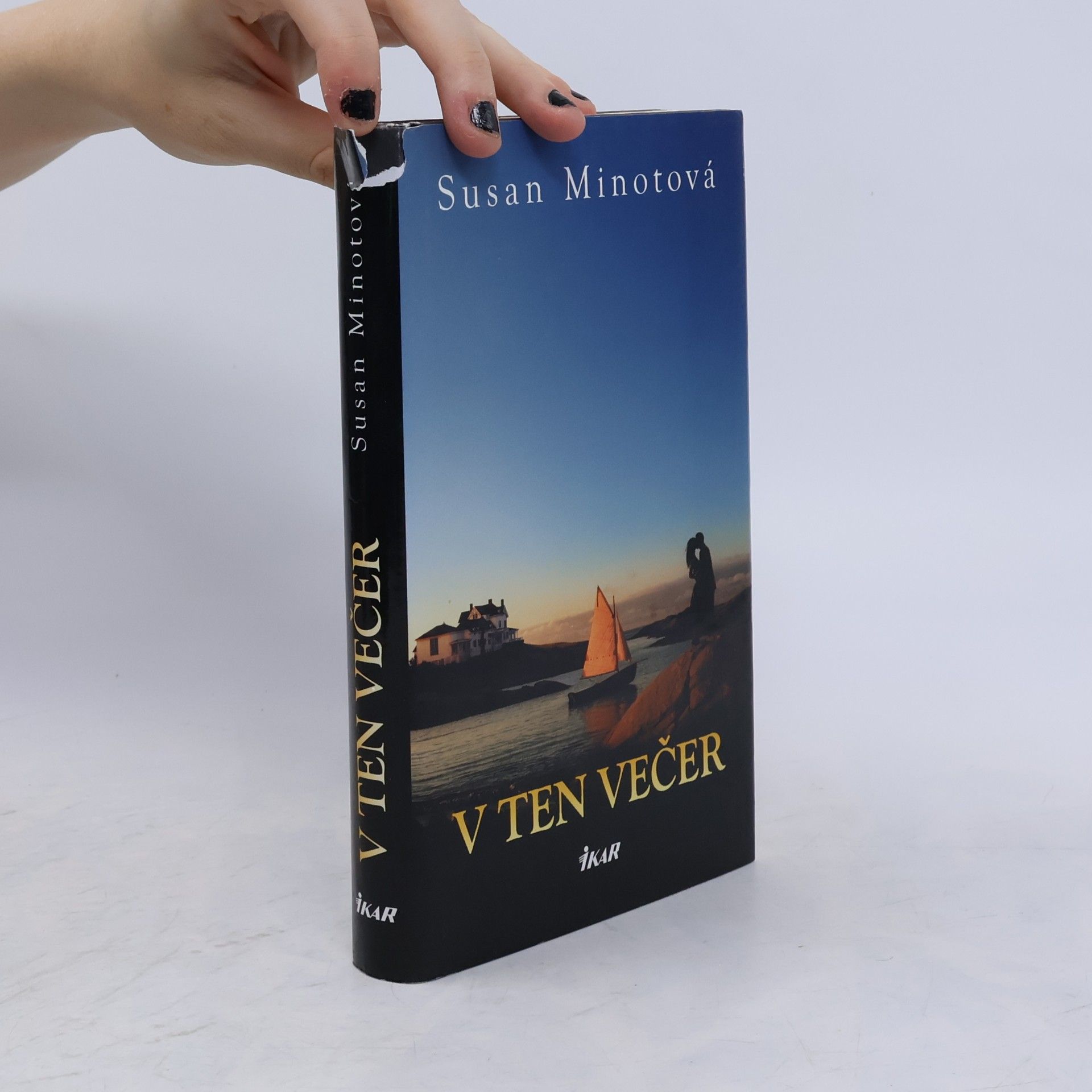 Susan Minot V ten večer