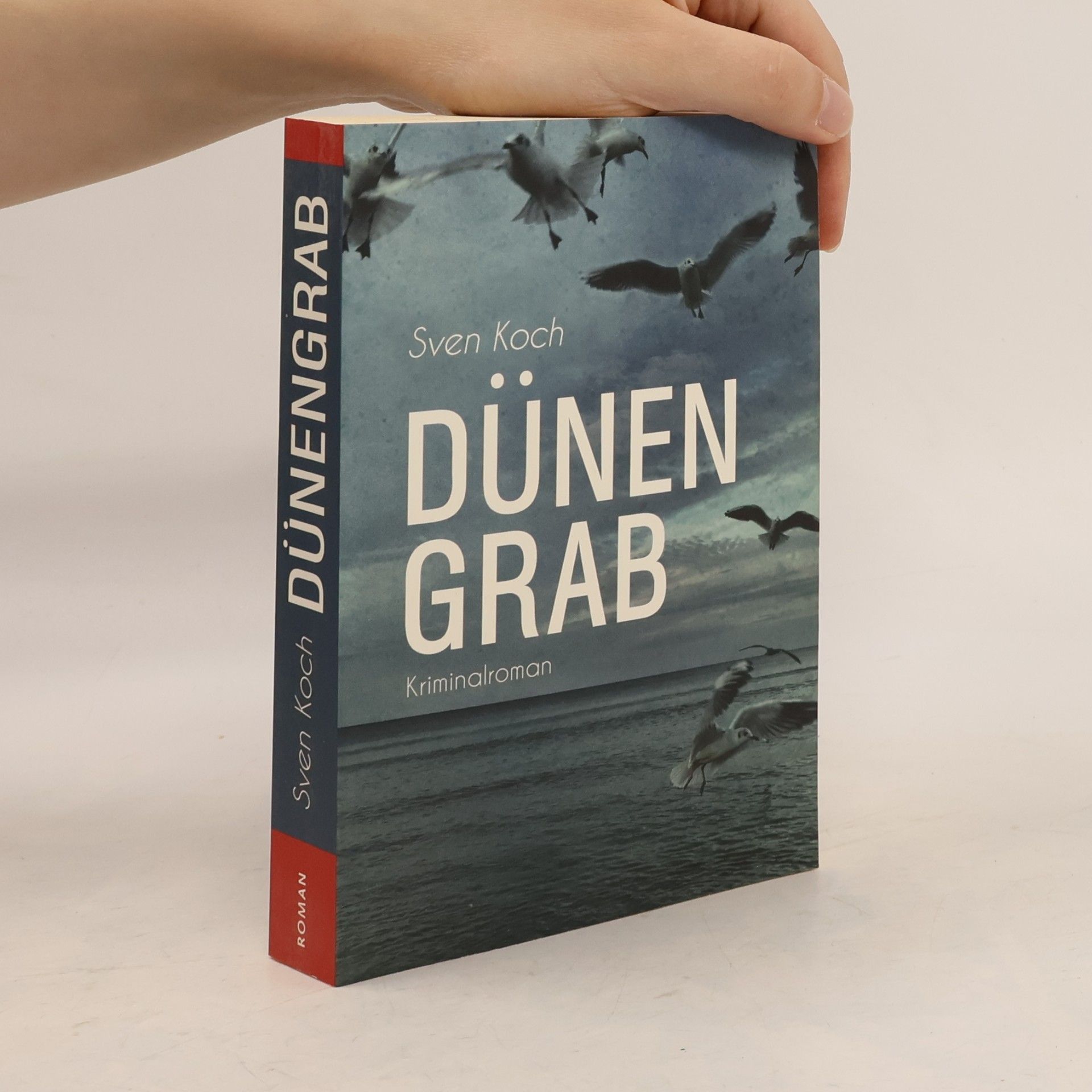 Sven Koch Dünengrab