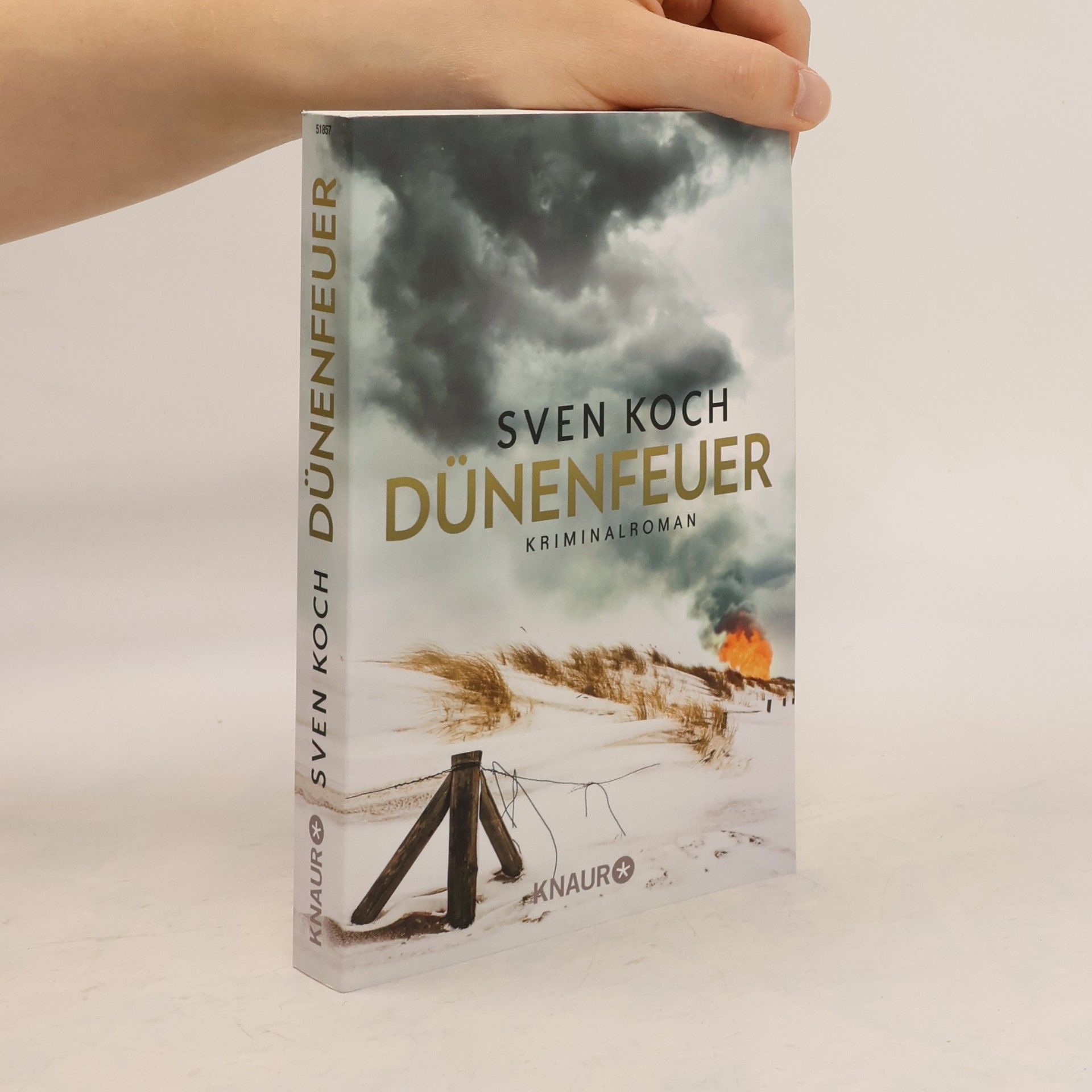 Sven Koch Dünenfeuer