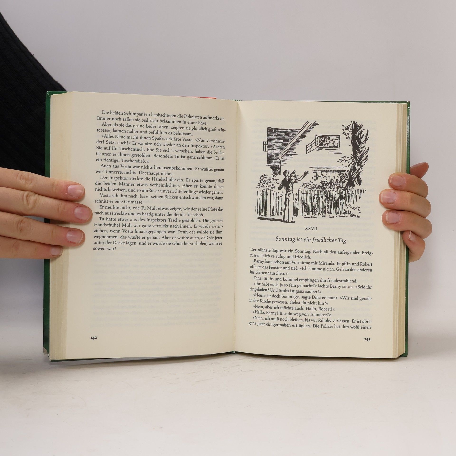 Enid Blyton Rätsel um die grüne Hand. Ein Doppelband.