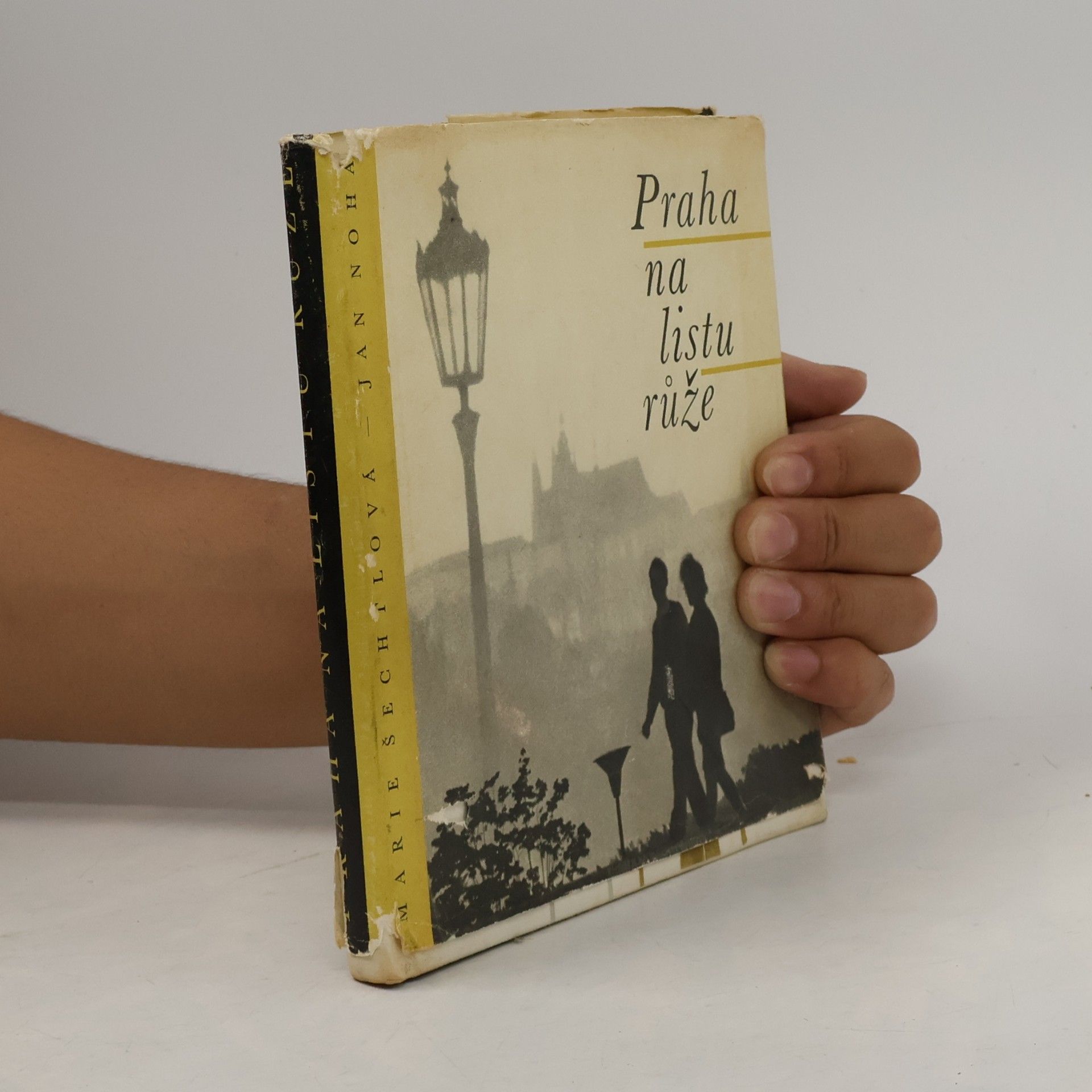 Marie Šechtlová Praha na listu růže