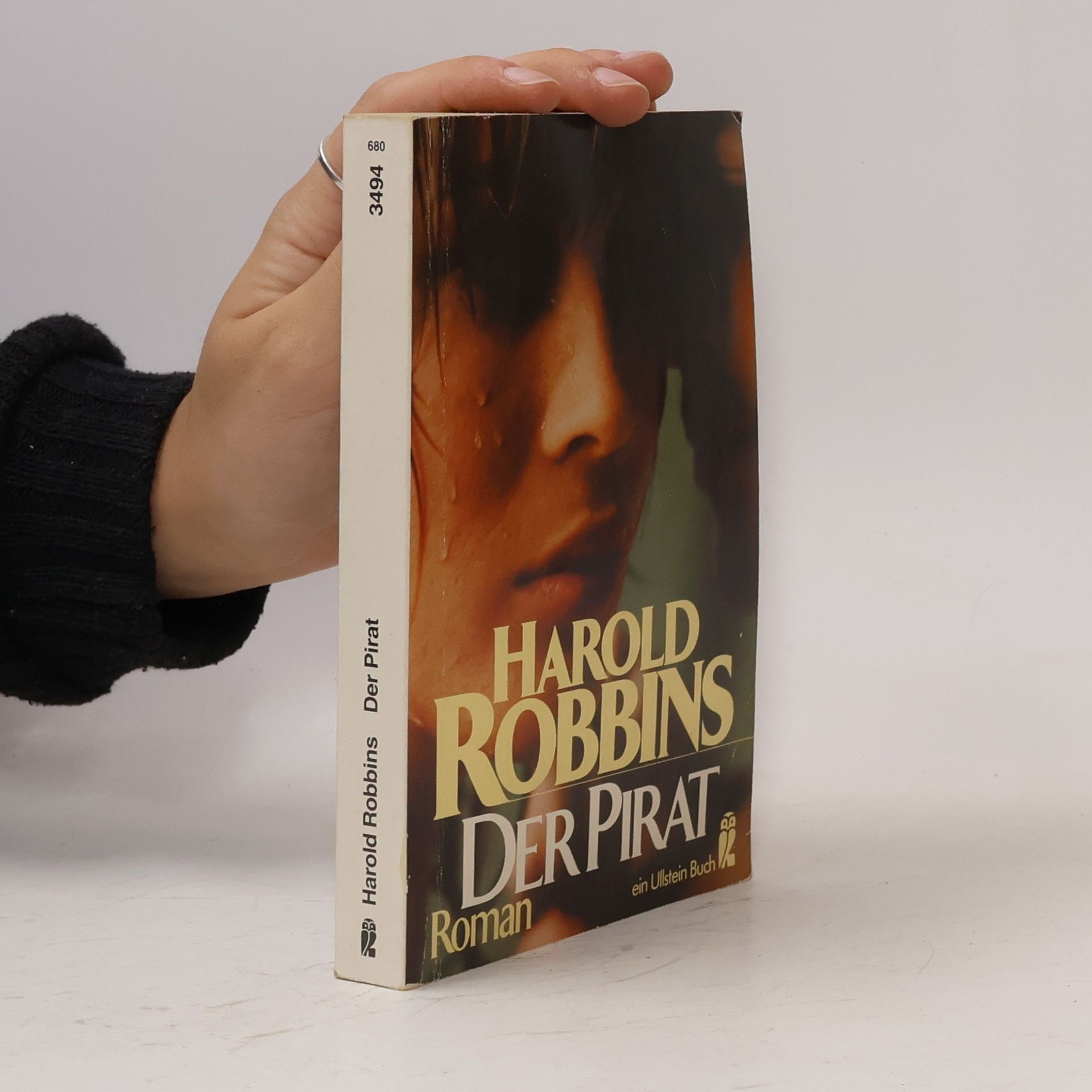 Harold Robbins Der Pirat