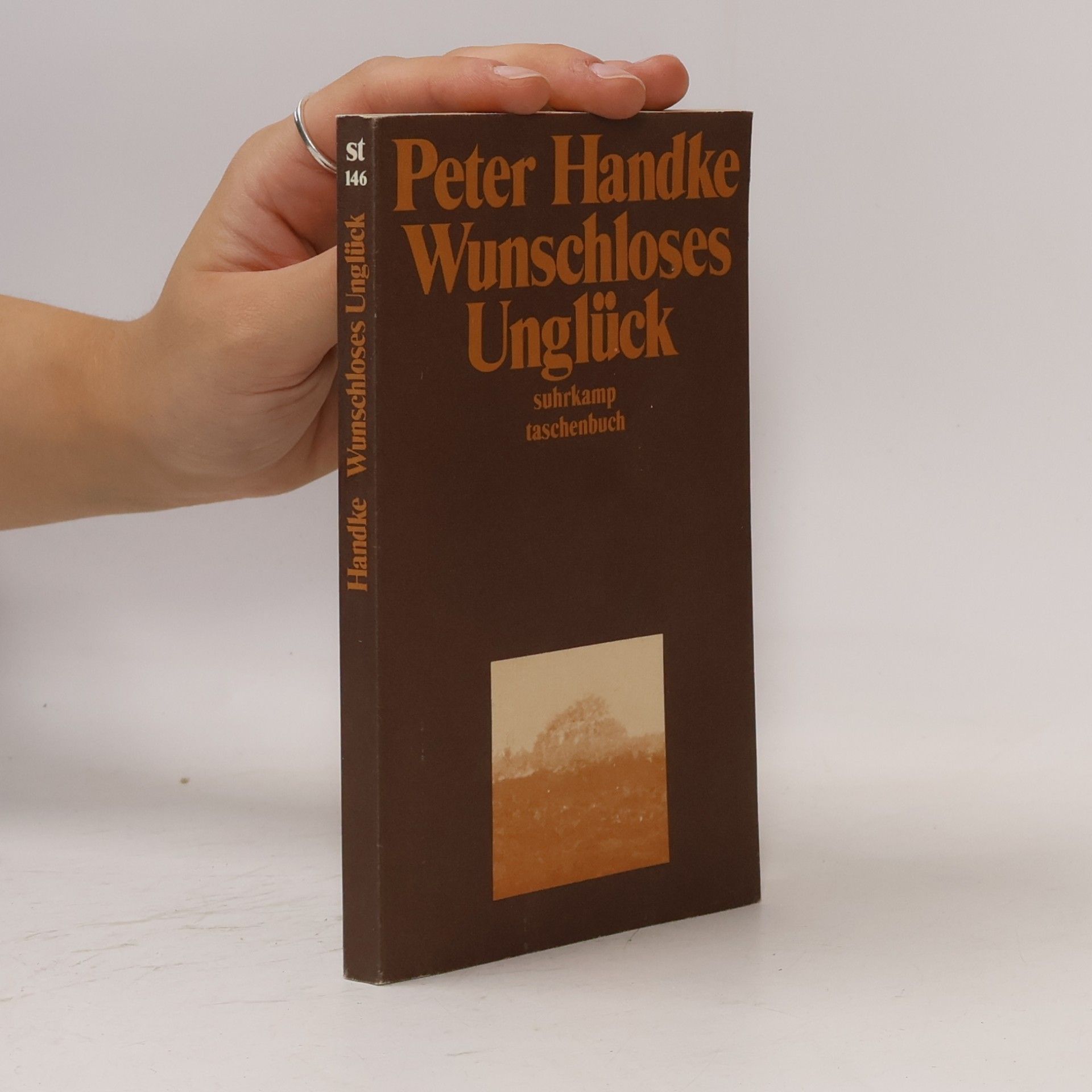 Peter Handke Wunschloses Unglück