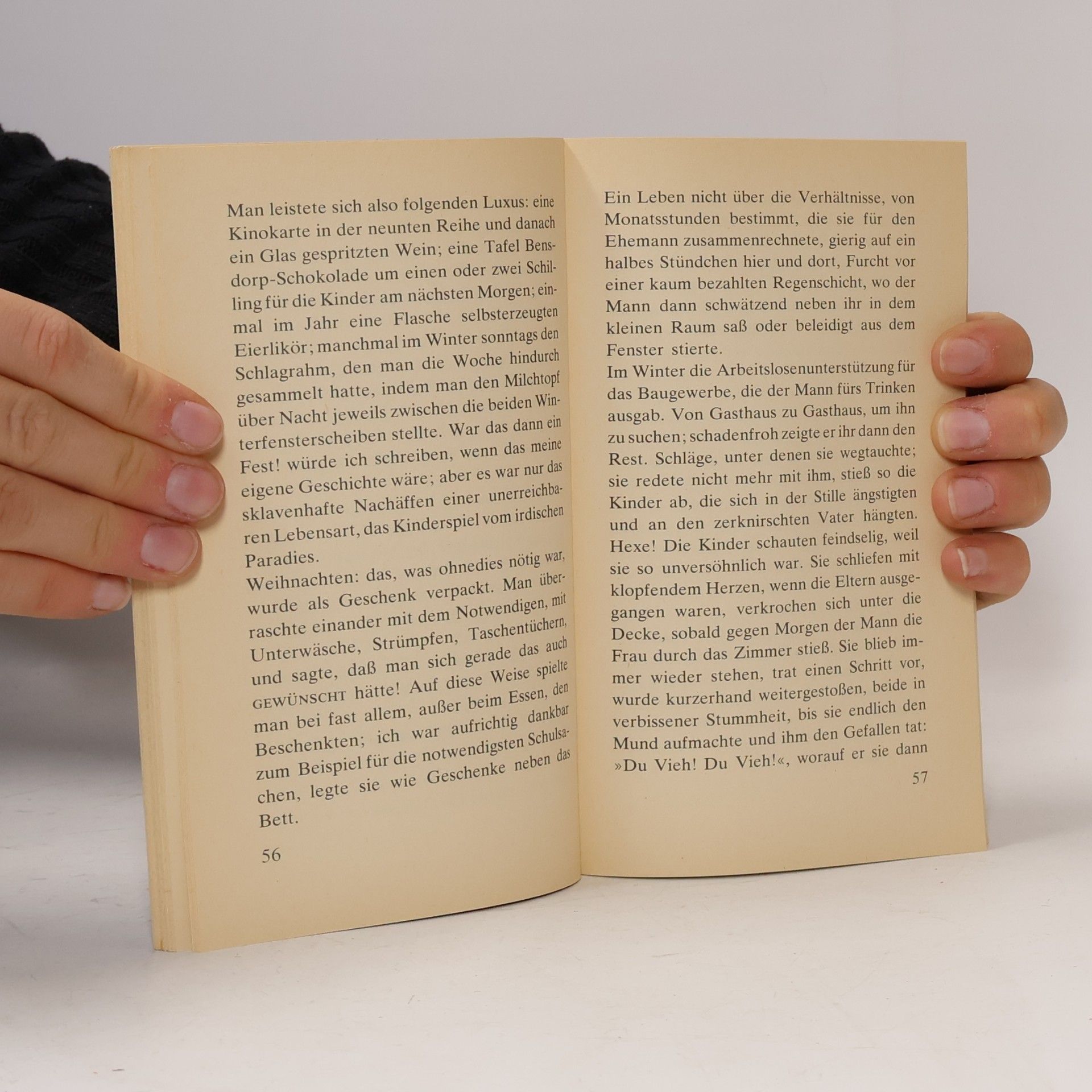 Peter Handke Wunschloses Unglück
