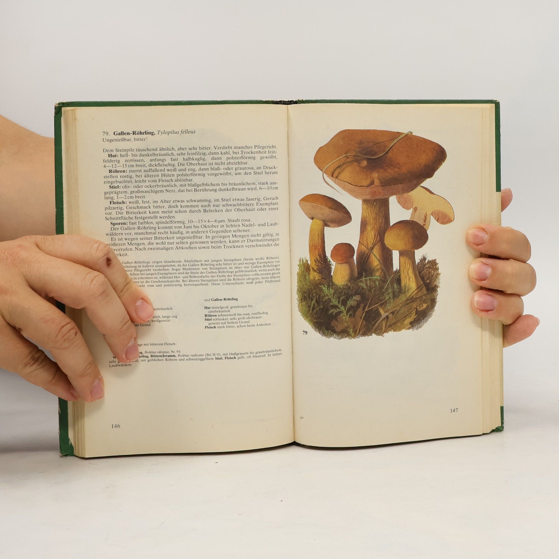 Hanns Kreisel Taschenbuch für Pilzfreunde