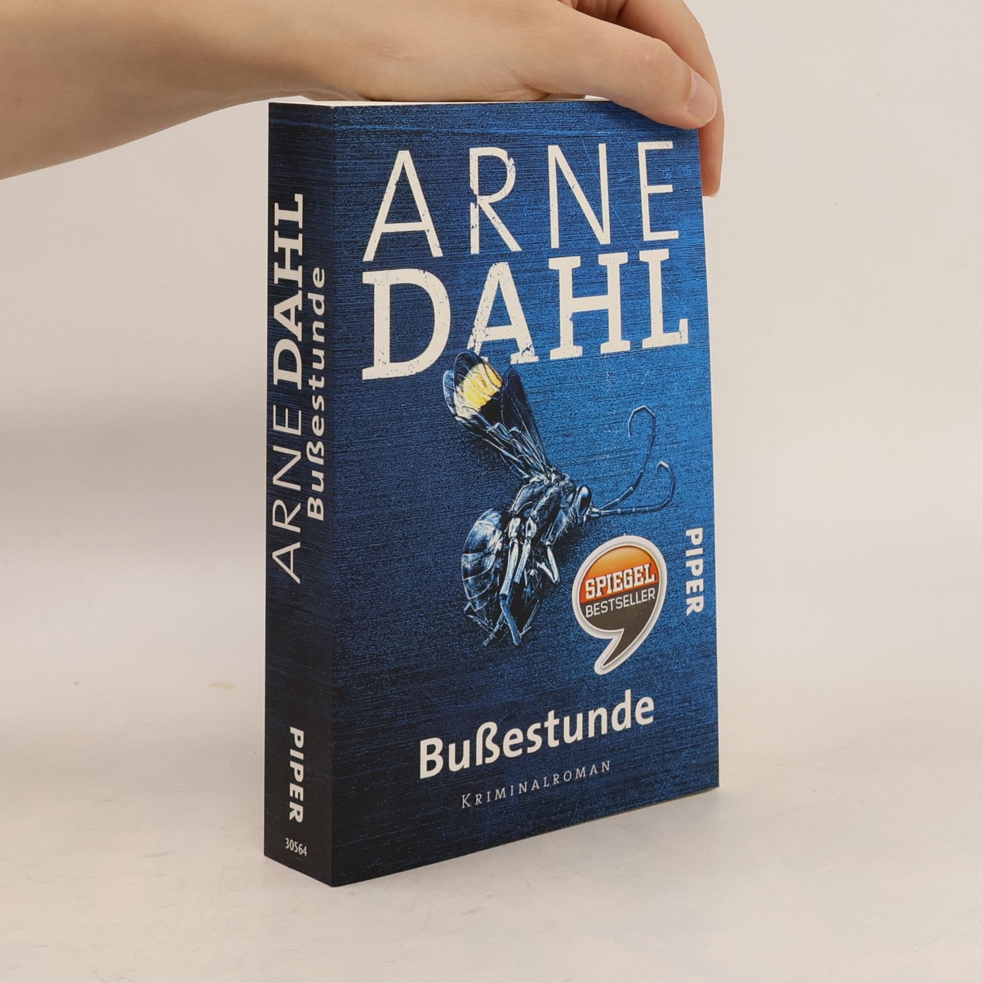 Arne Dahl Bußestunde