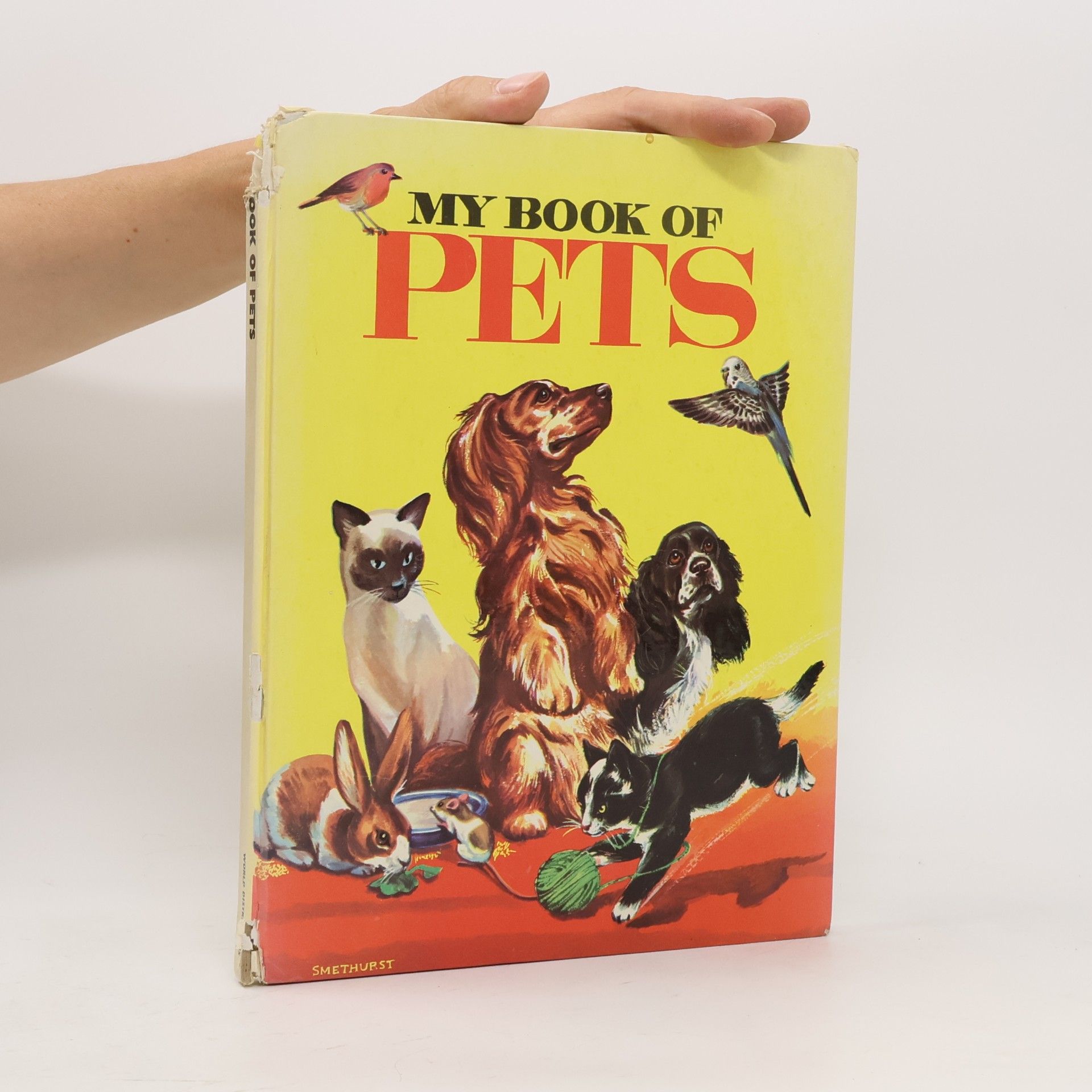 Kolektiv autorů My Book of Pets