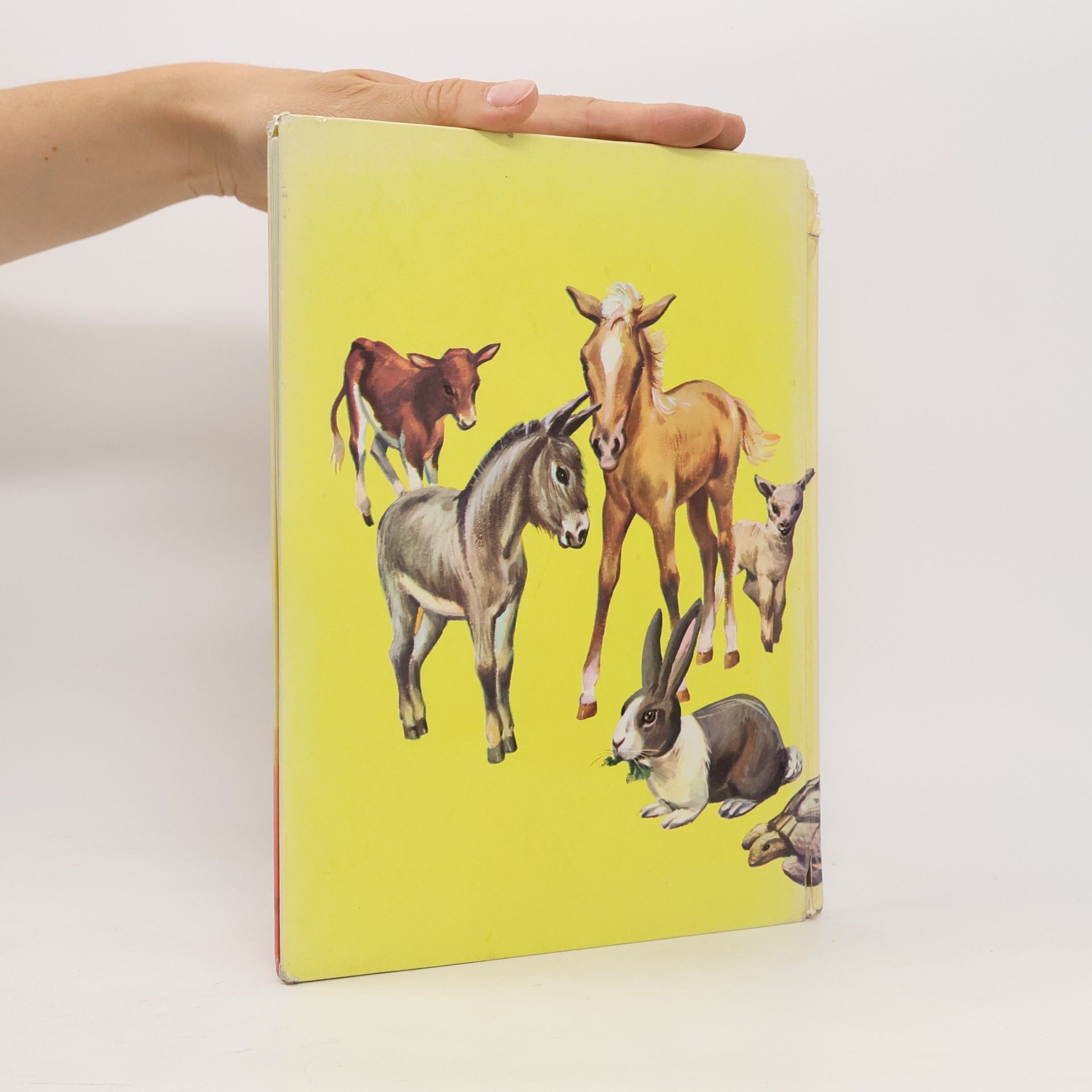 Kolektiv autorů My Book of Pets