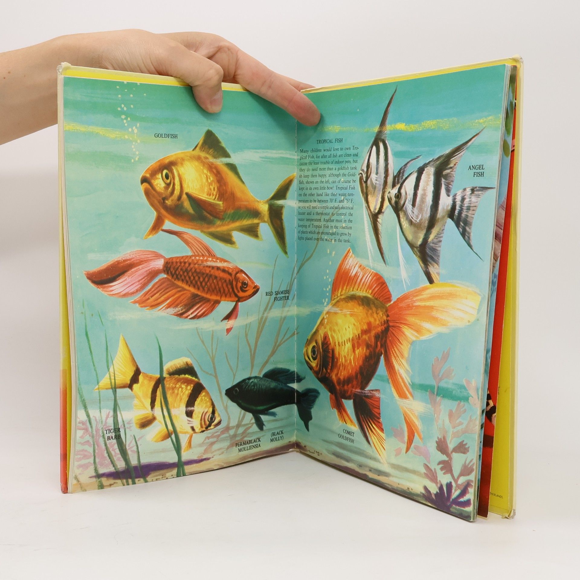 Kolektiv autorů My Book of Pets