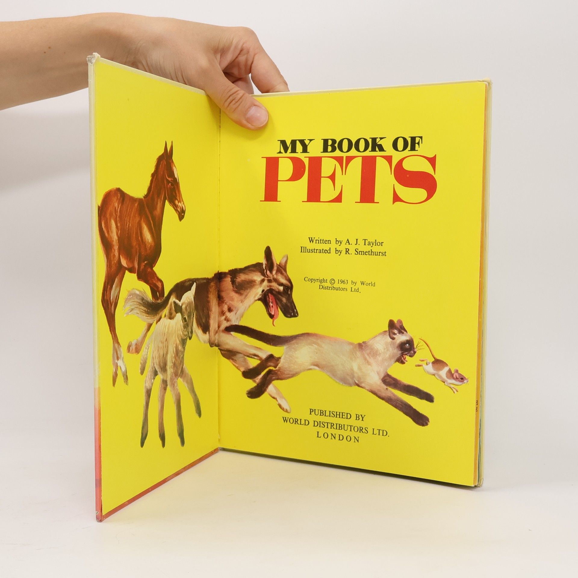 Kolektiv autorů My Book of Pets