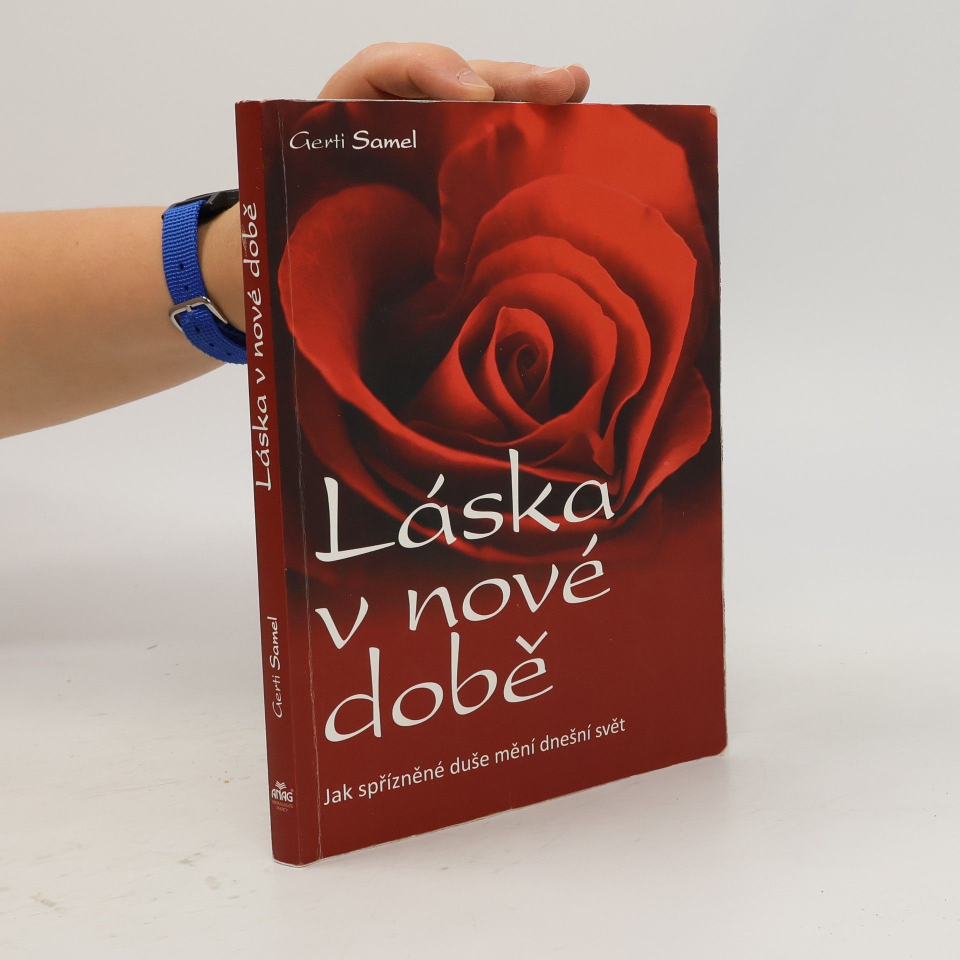 Ilona Žídková Láska v nové době. Jak spřízněné duše mění dnešní svět