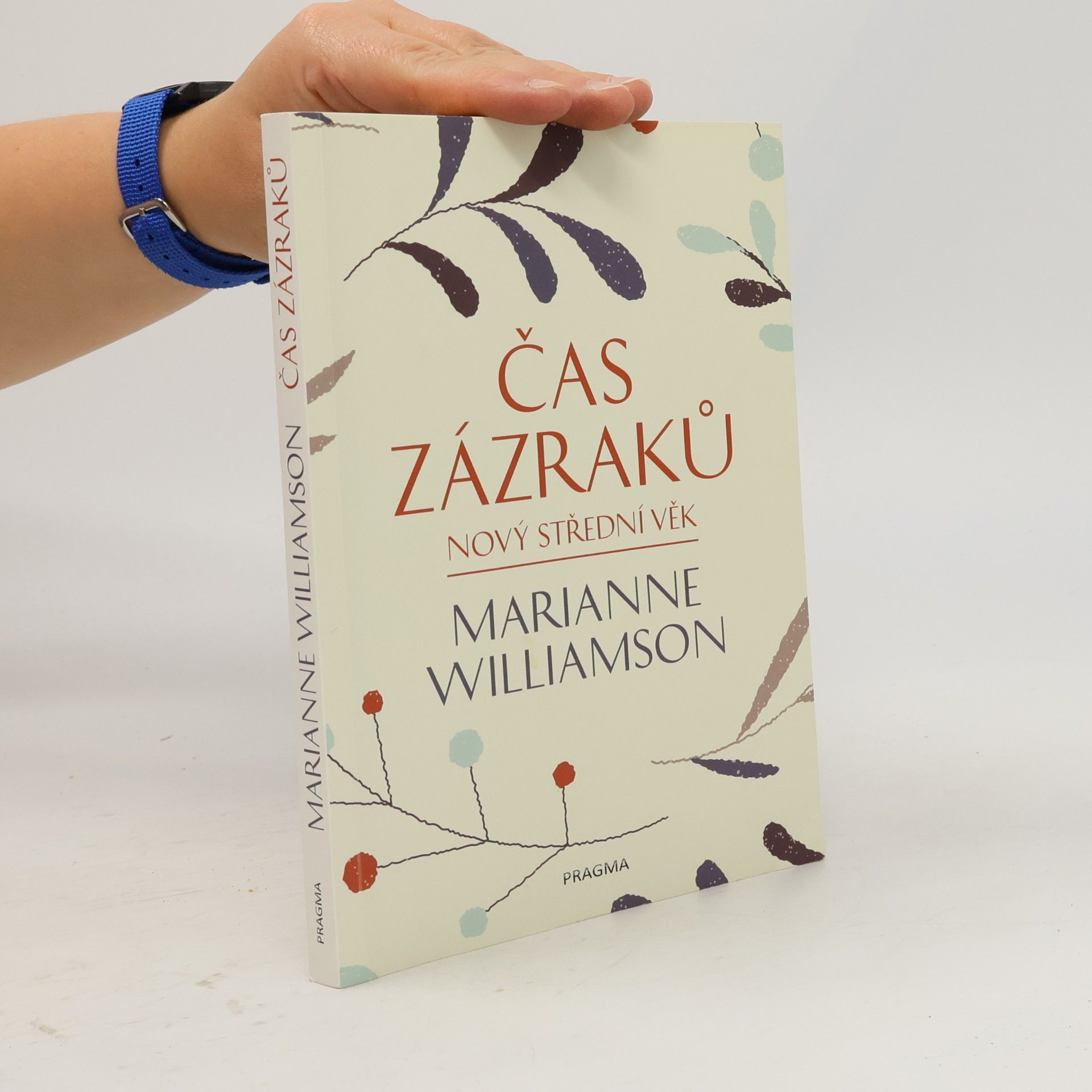 Marianne Williamson Čas zázraků : nový střední věk