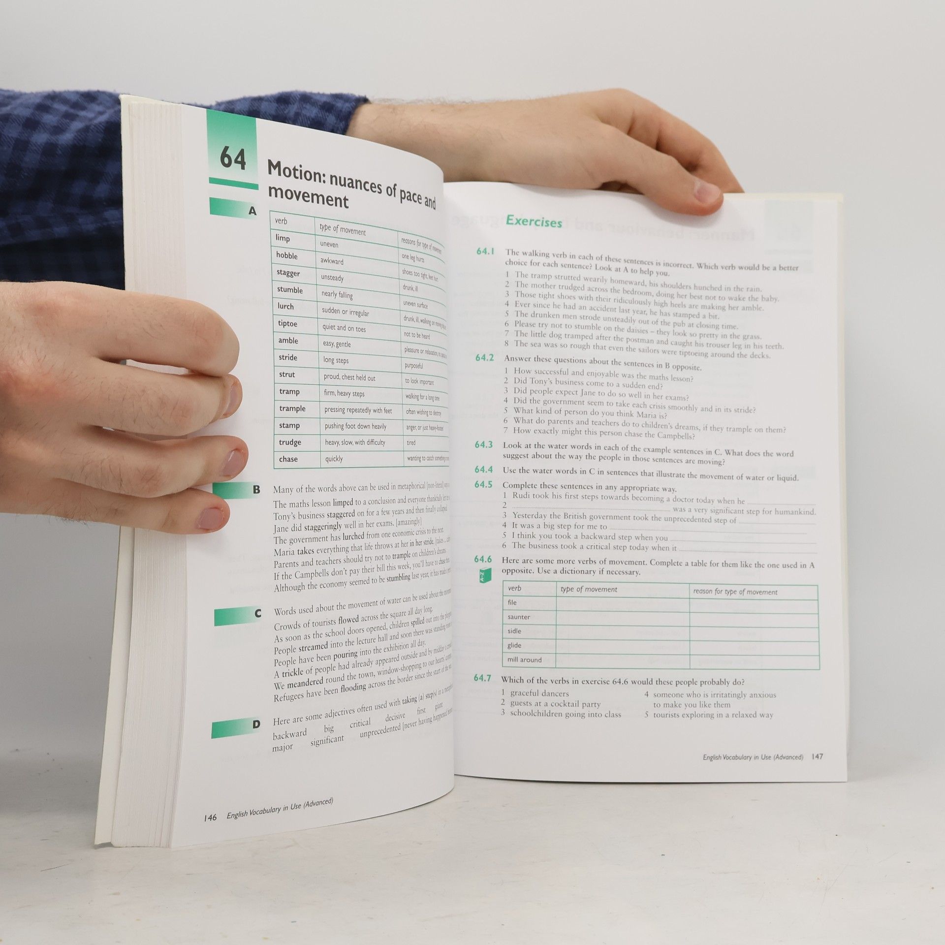 Michael McCarthy English Vocabulary in Use: Advanced