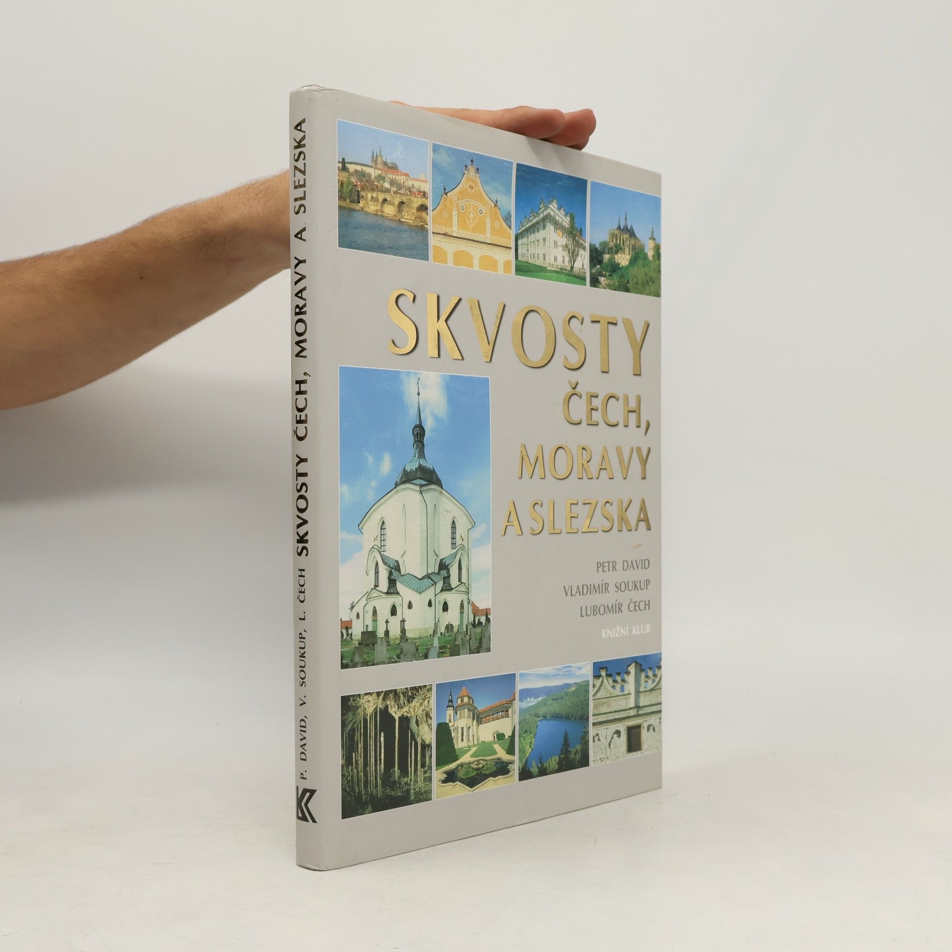 Petr David Skvosty Čech, Moravy a Slezska