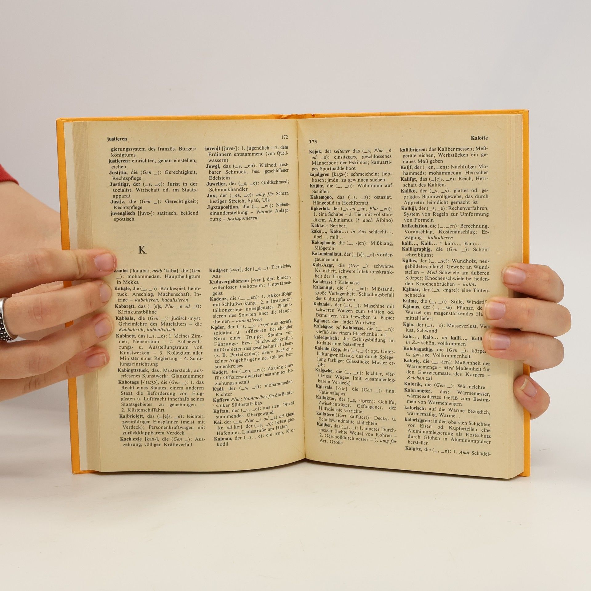 Roselore Ehrlich Kleines Fremdwörterbuch