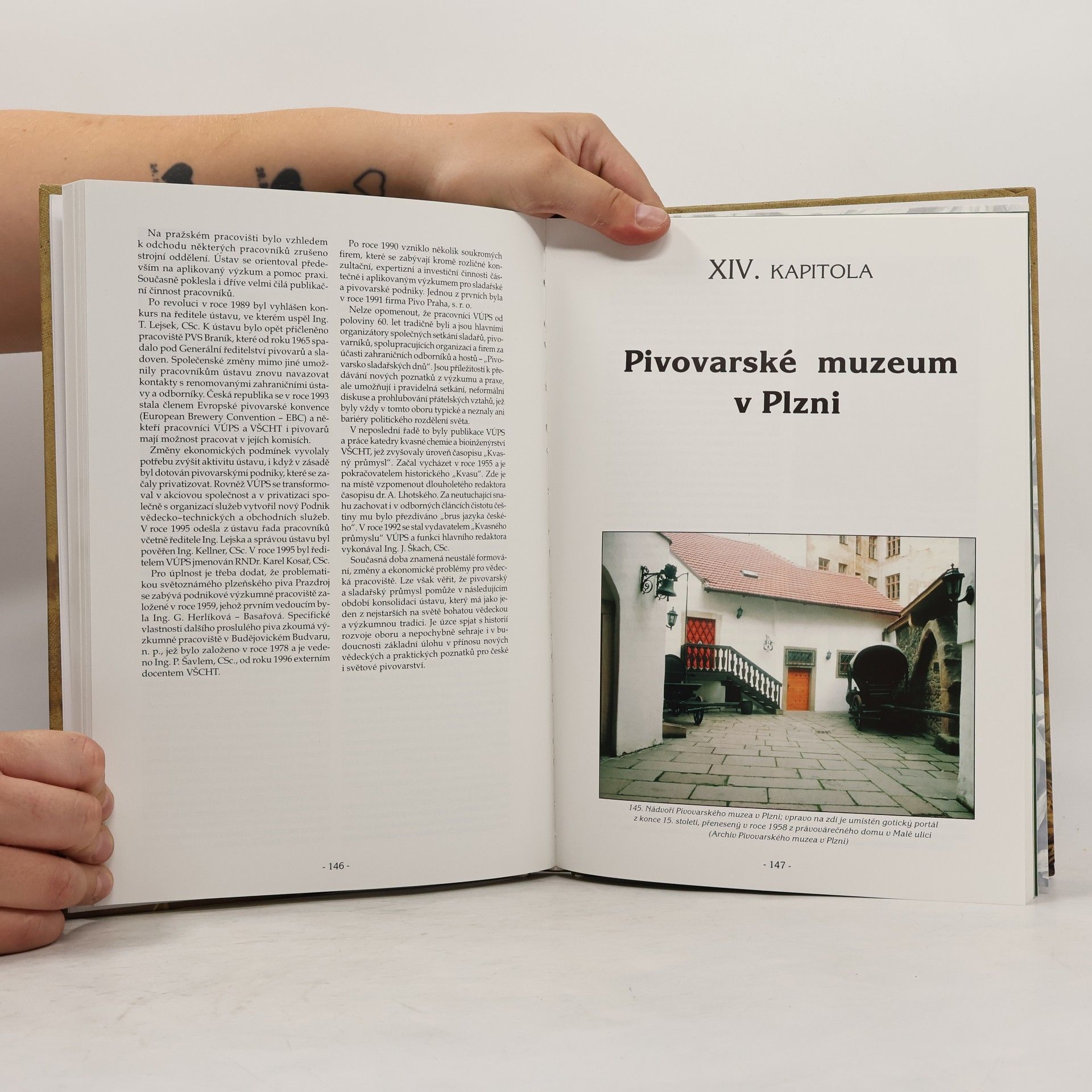 Gabriela Basařová České pivo