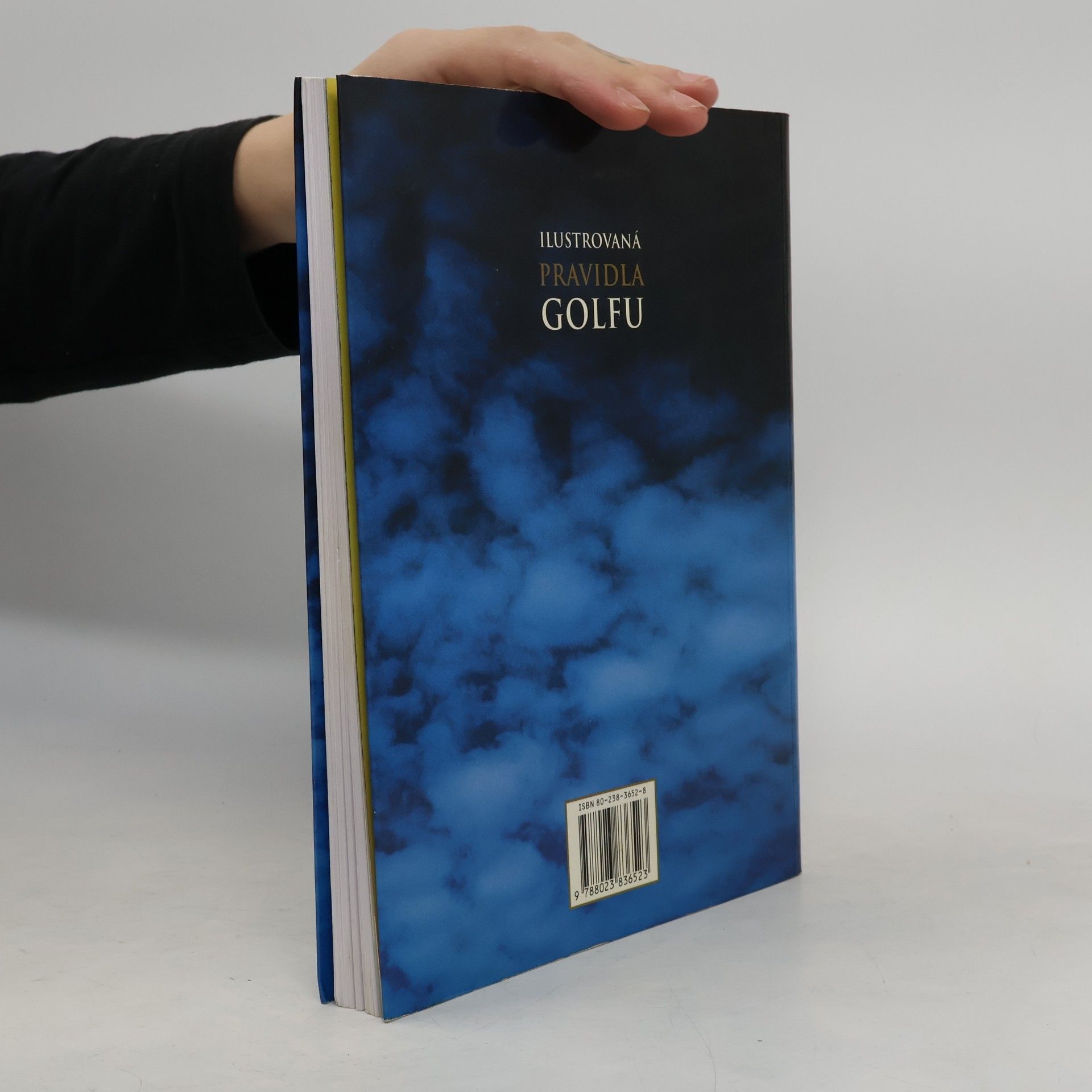 Autorenkollektiv Ilustrovaná pravidla golfu