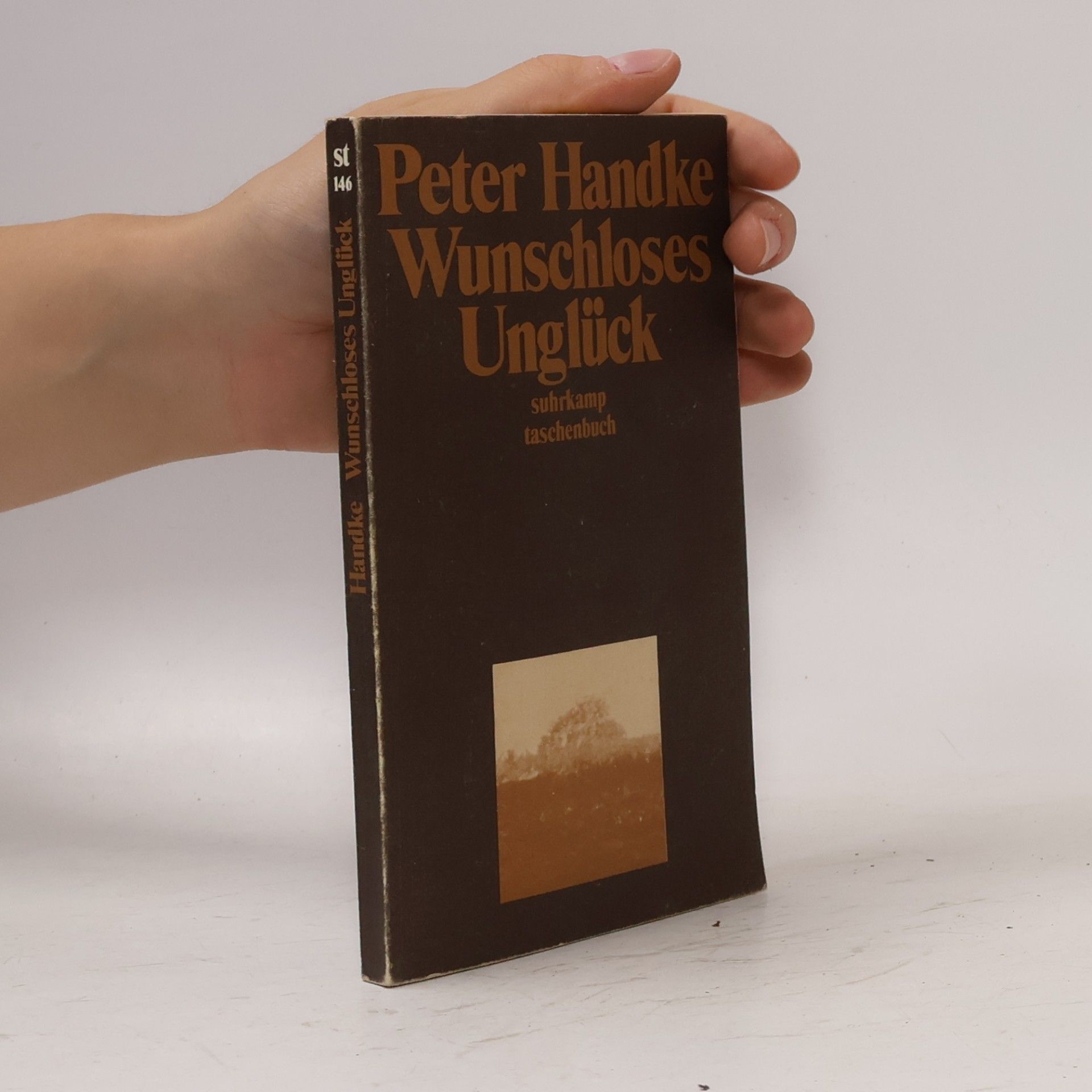 Peter Handke Wunschloses Unglück