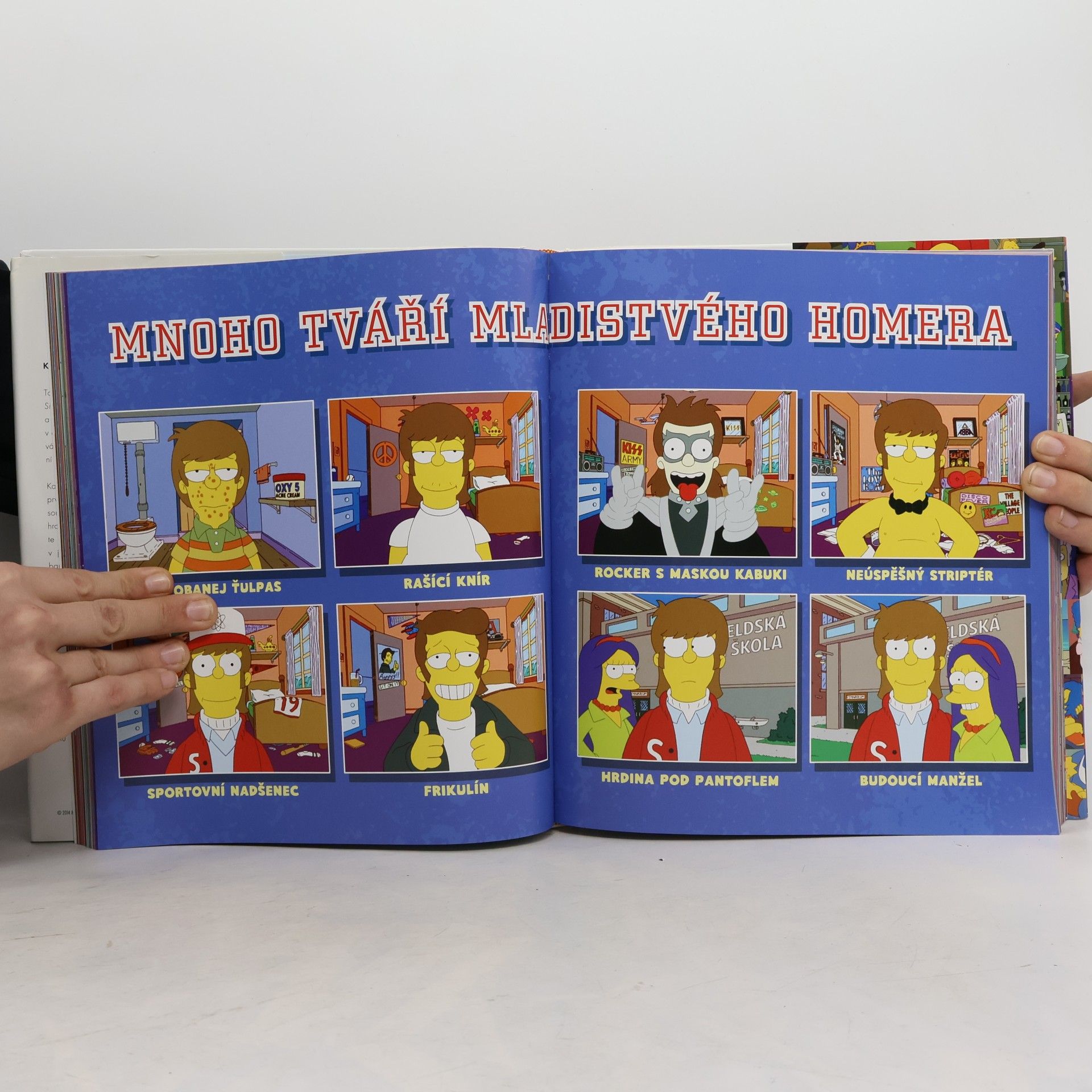 Matt Groening Simpsonovi. Rodinná historie