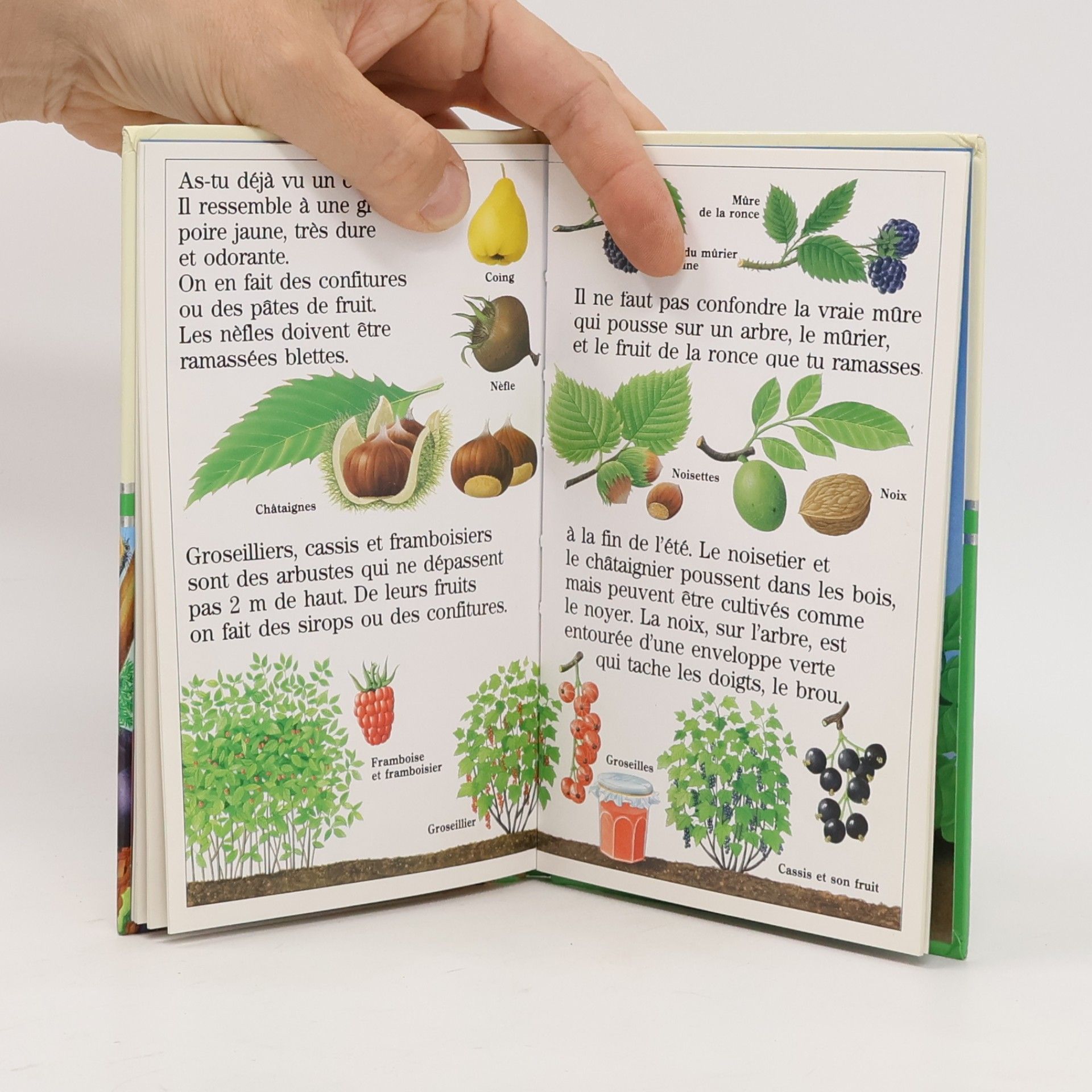 Gaud Morel Découverte Benjamin - 2: Dans le jardin, des fruits et des légumes