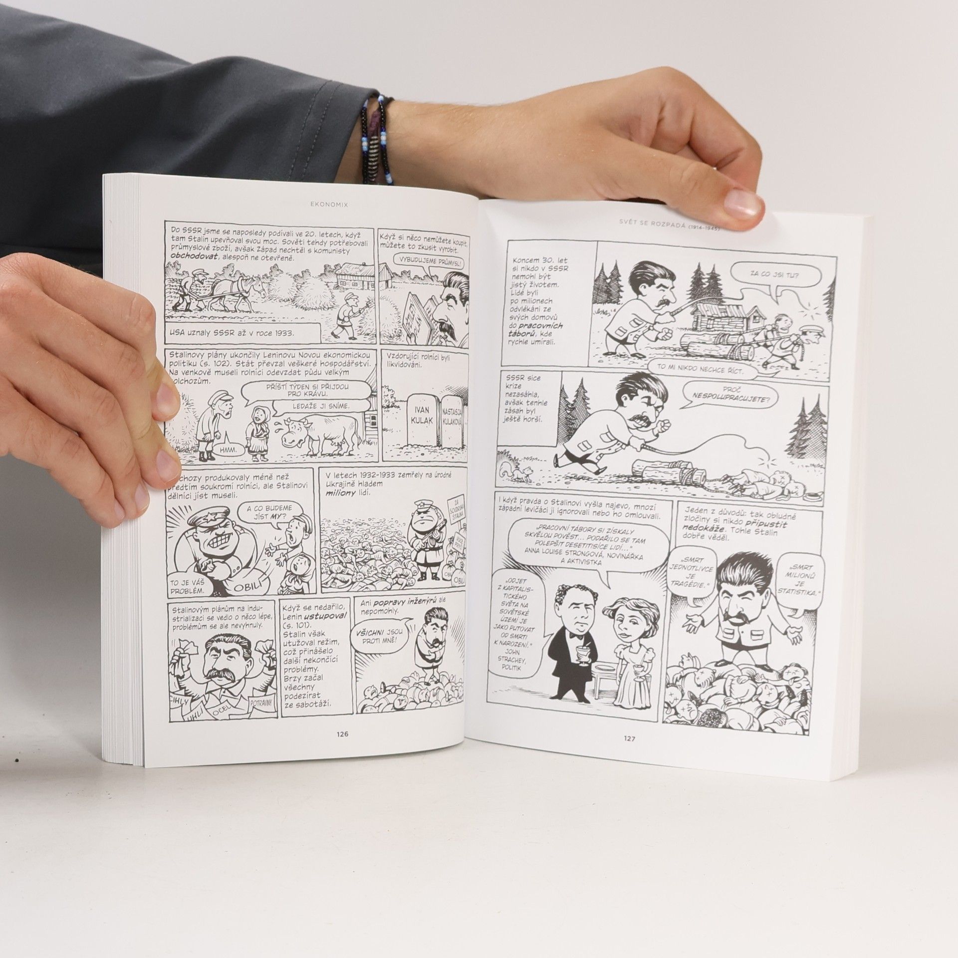 Michael Goodwin Ekonomix: Jak funguje (a nefunguje) ekonomika