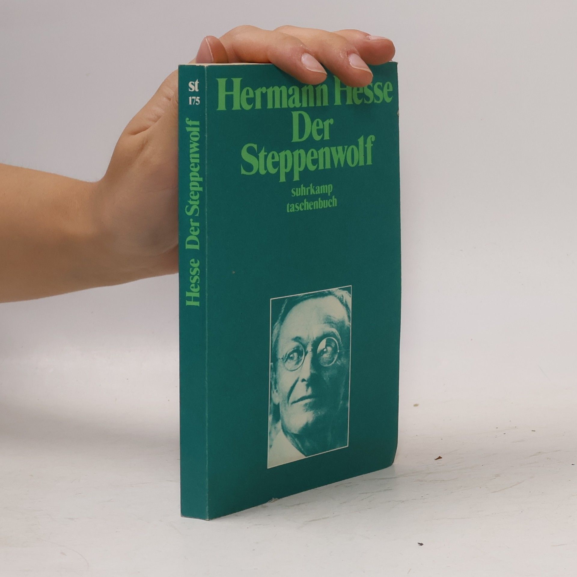 Hermann Hesse Der Steppenwolf