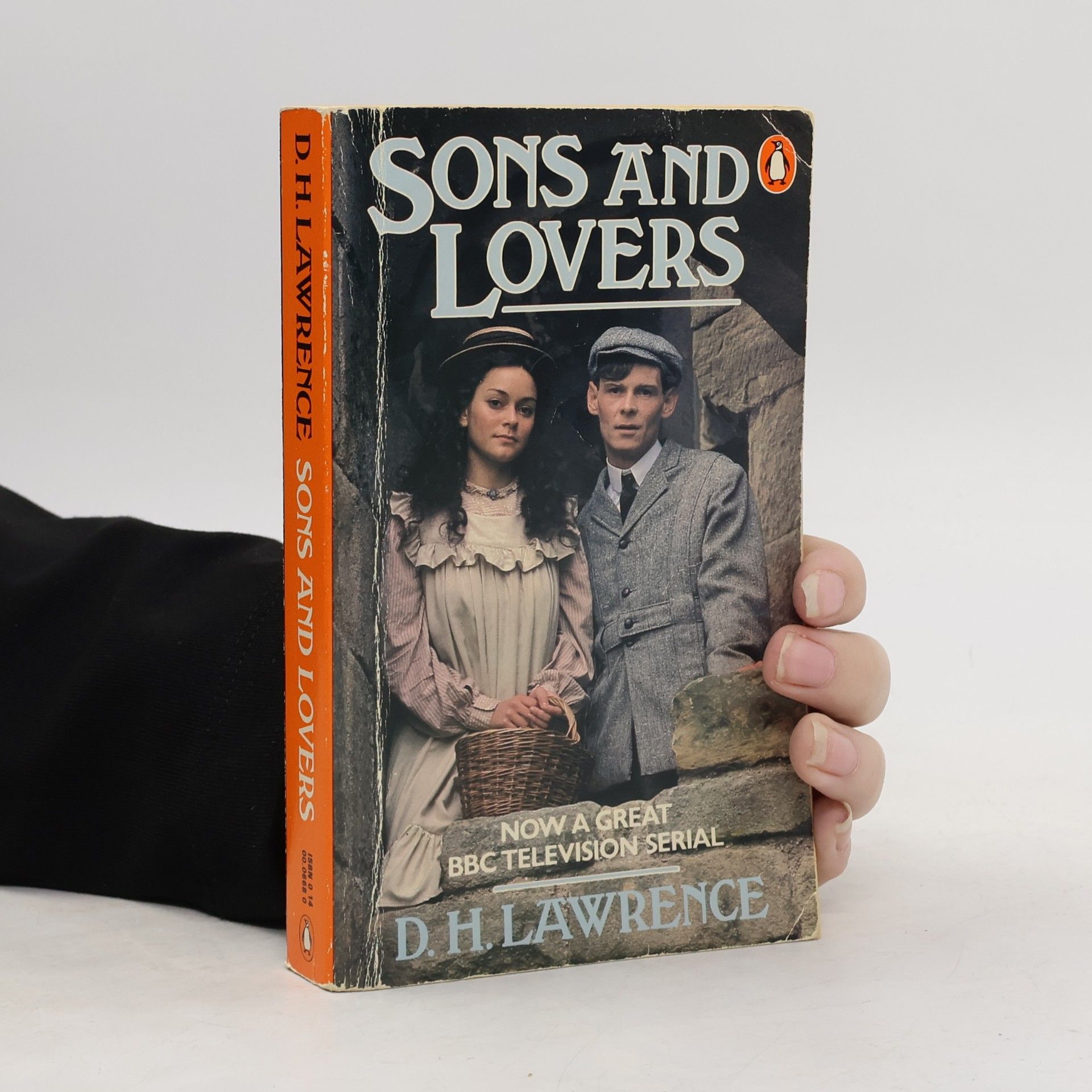 David Herbert Lawrence Sons and Lovers